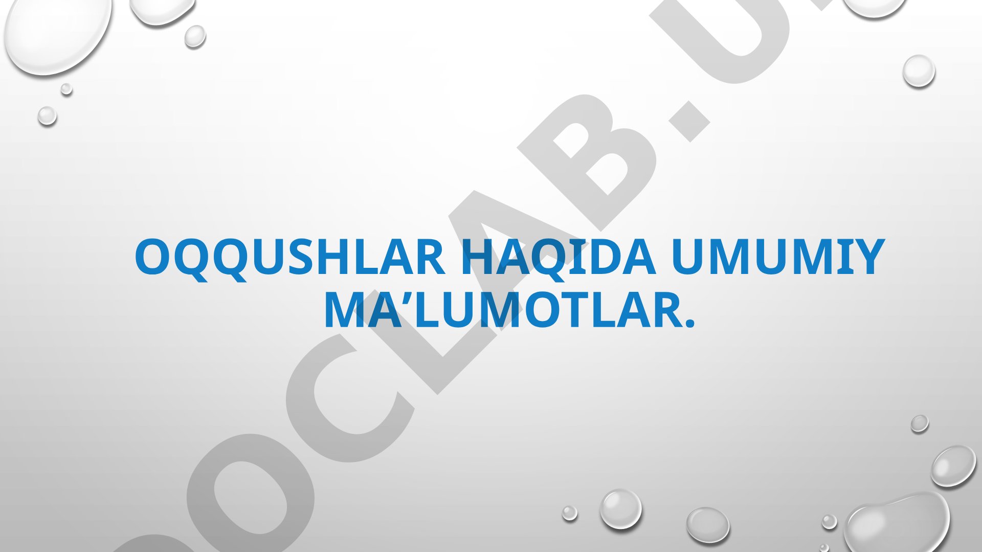 Oqqushlar haqida umumiy maʼlumotlar.