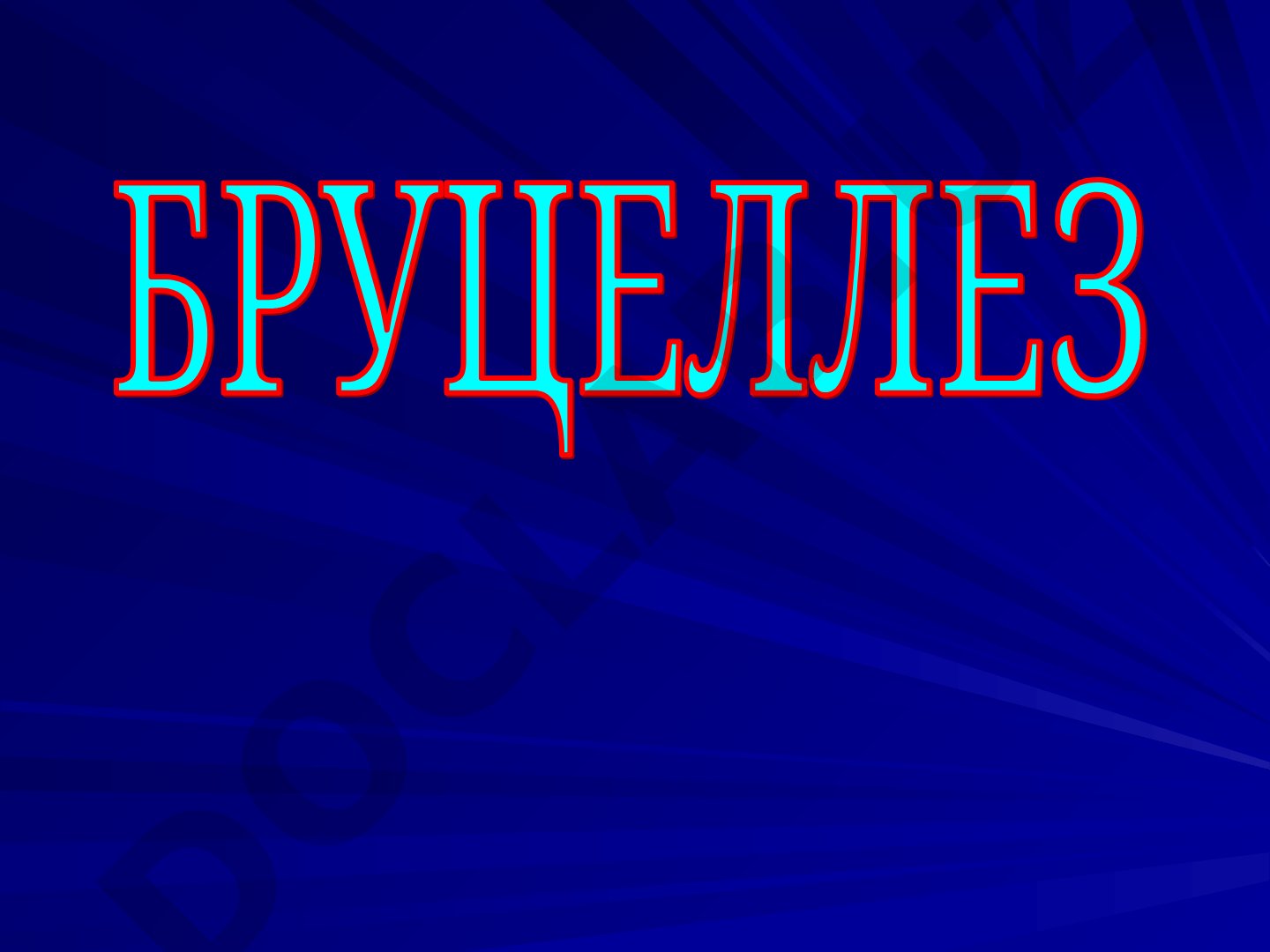 Бруцеллёз: актуальность, определение, распространённость