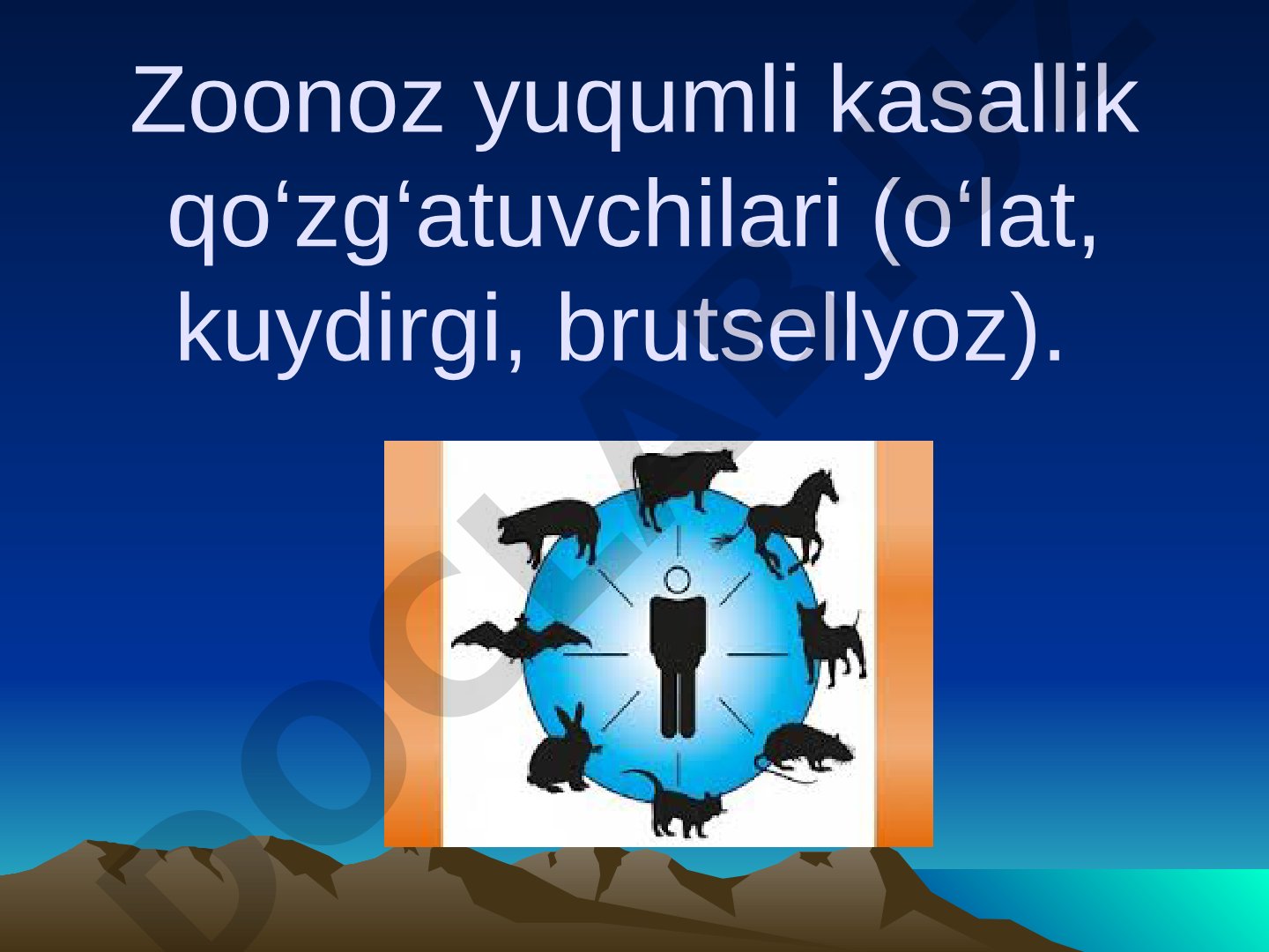 Zoonoz yuqumli kasalliklar: o'lat, kuydirgi, brutsellyoz