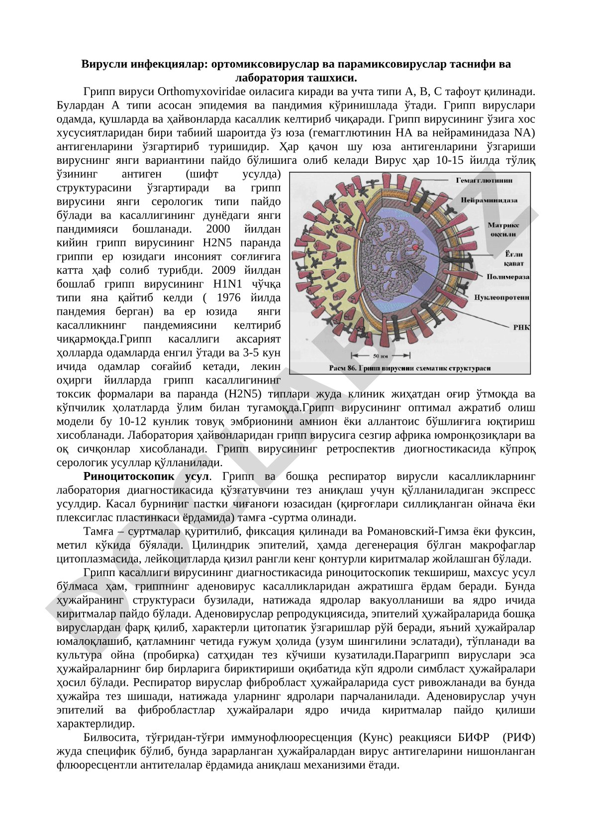Вирусли инфекциялар: ортомиксовируслар ва парамиксовируслар таснифи ва лаборатория ташхиси
