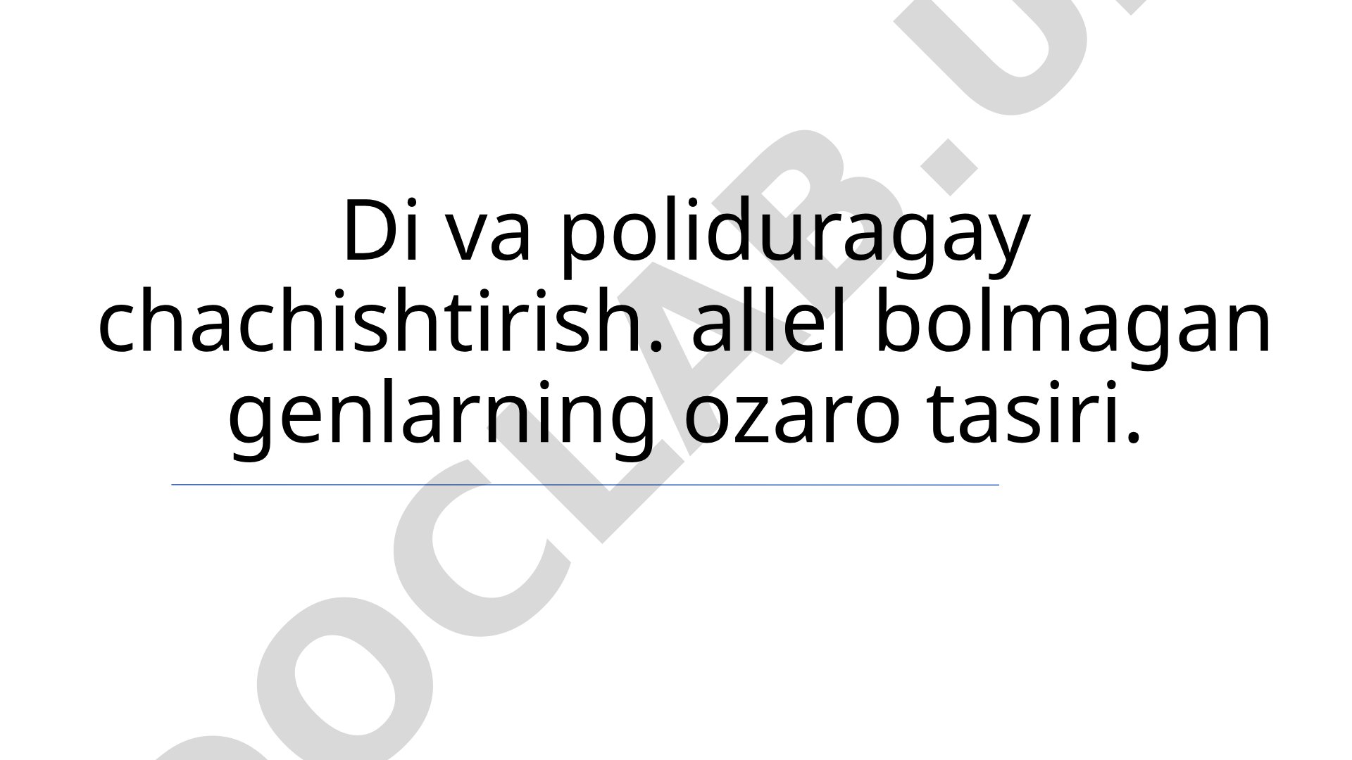 Allel bo'lmagan genlarning o'zaro ta'siri va dihybrid chatishtirish