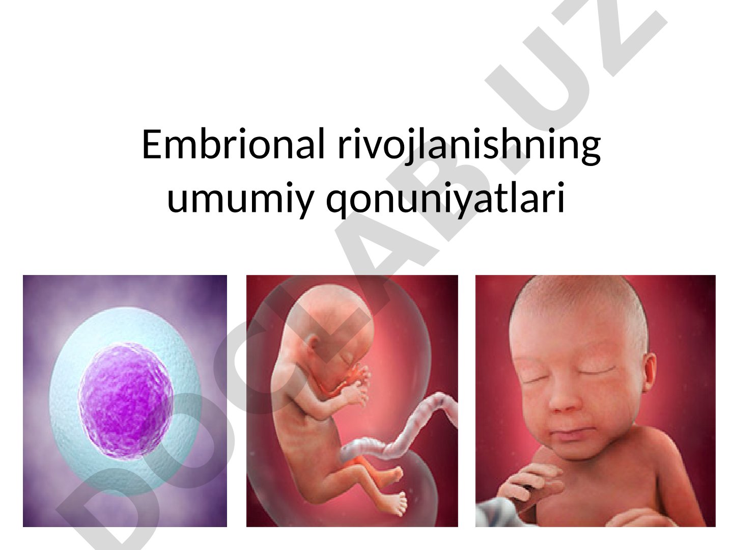 Embrional rivojlanishning umumiy qonuniyatlari va otalanish jarayoni