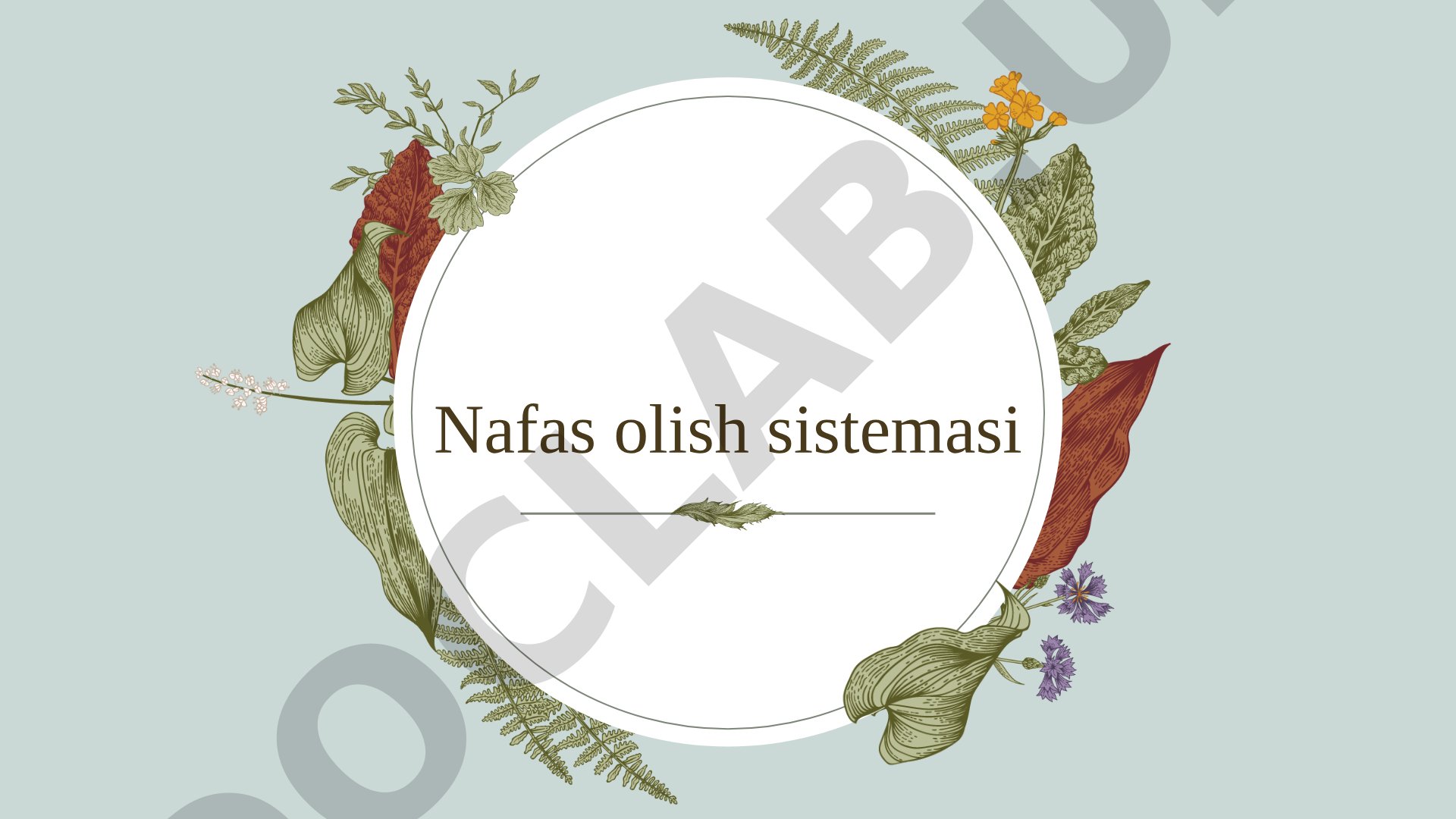 Umurtqalilarda nafas olish sistemasi filogenezi