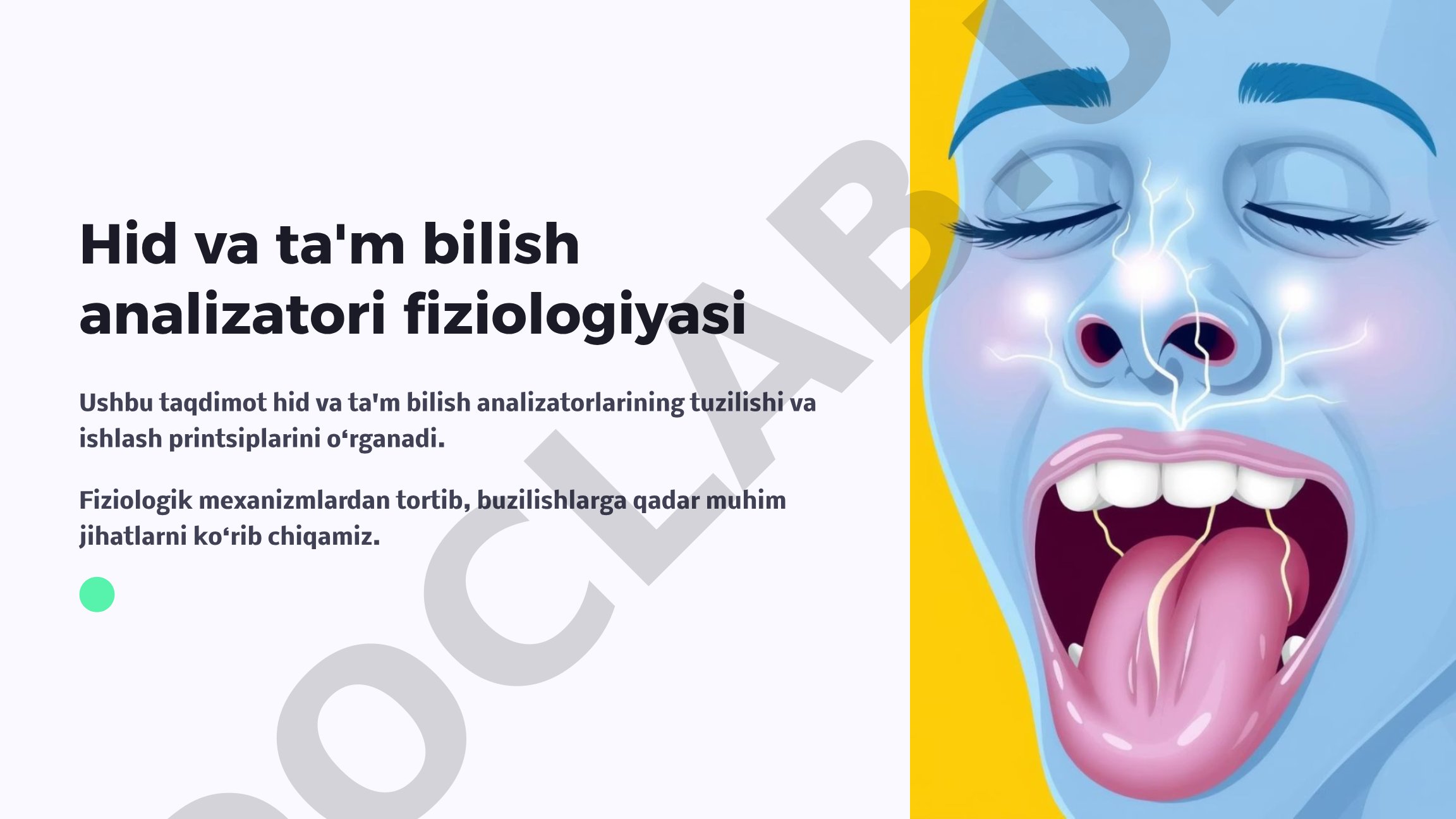 Hid va ta'm bilish analizatori fiziologiyasi