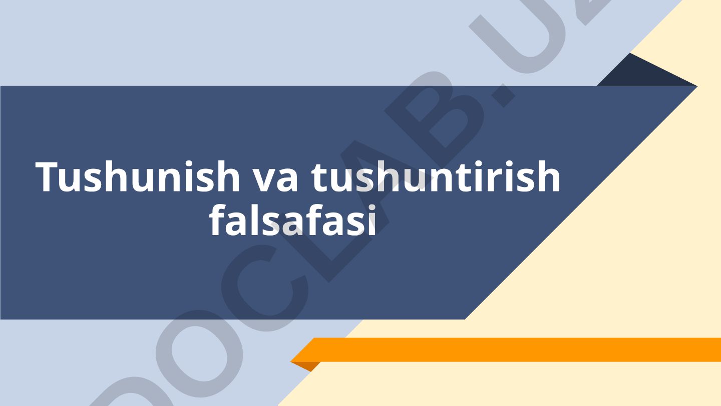 Tushunish va tushuntirish falsafasi