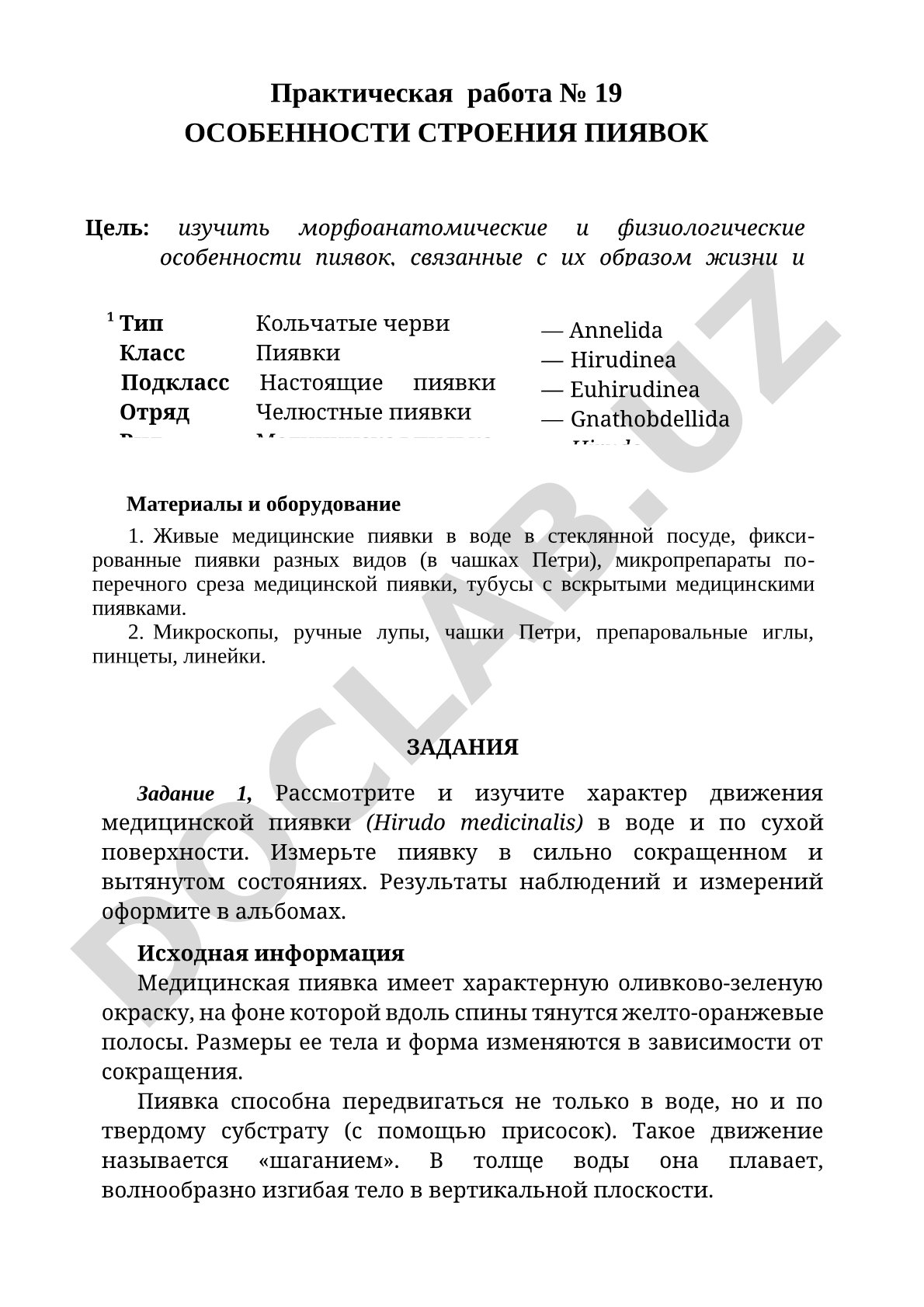 Особенности строения пиявок