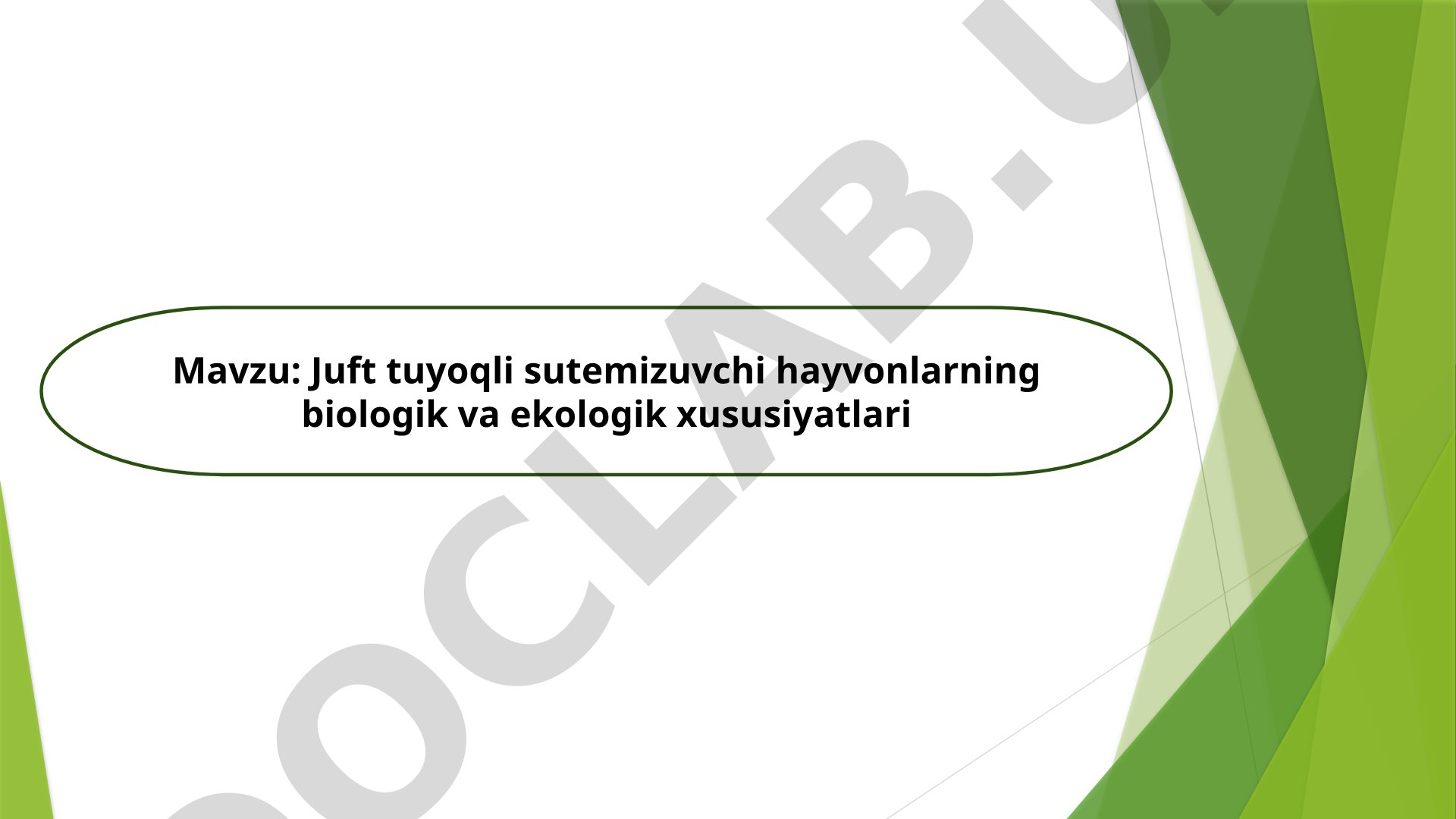 Juft tuyoqli sutemizuvchi hayvonlarning biologik va ekologik xususiyatlari