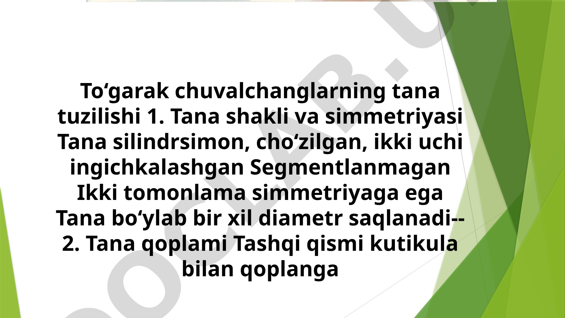 To‘garak chuvalchanglarning tana tuzilishi