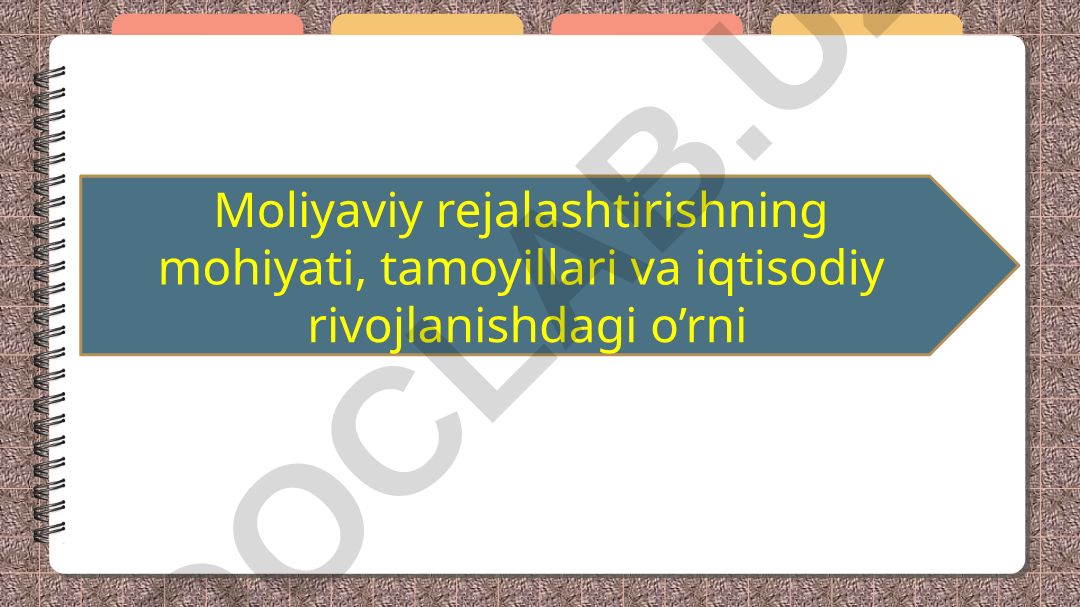 Moliyaviy rejalashtirishning mohiyati, tamoyillari va iqtisodiy rivojlanishdagi o’rni