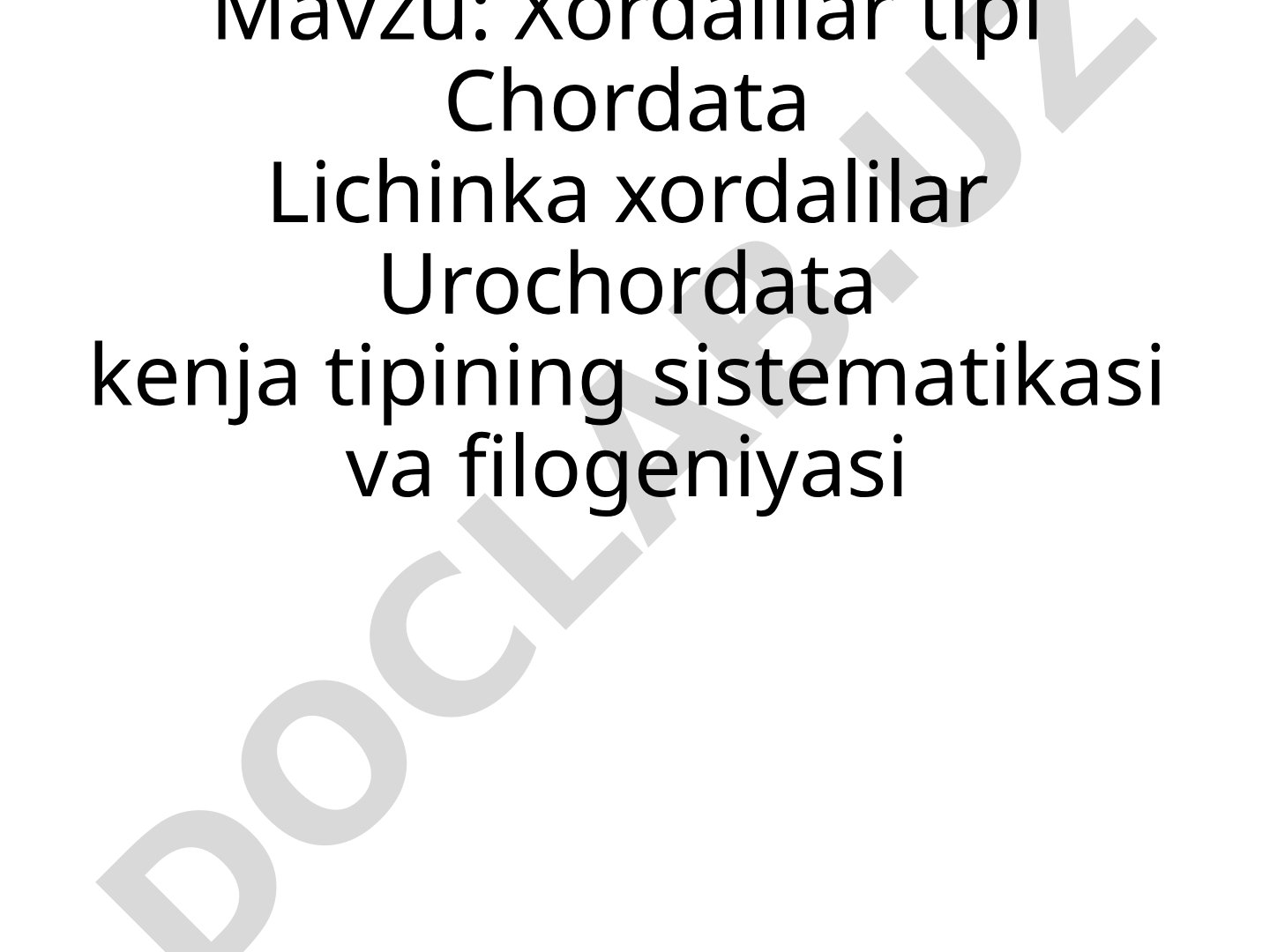 Xordalilar tipi Chordata Lichinka xordalilar Urochordata kenja tipining sistematikasi va filogeniyasi