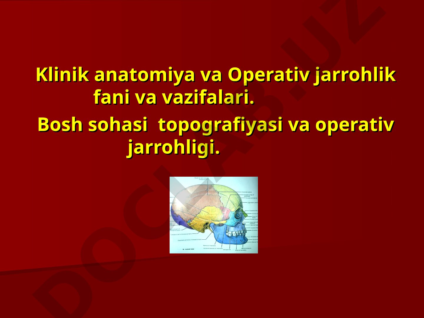 Klinik anatomiya va Operativ jarrohlik fani va vazifalari