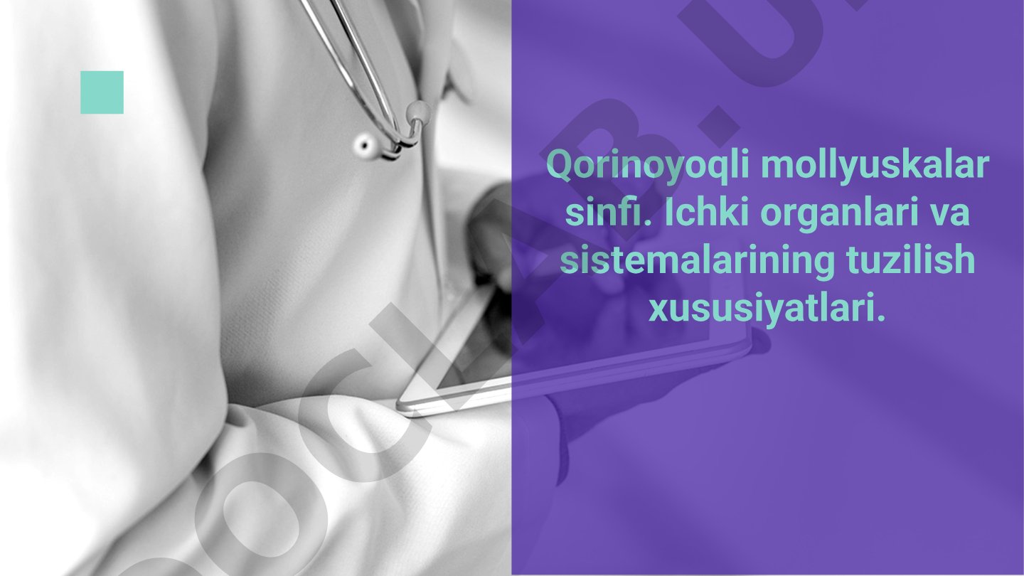 Qorinoyoqli mollyuskalar sinfi. Ichki organlari va sistemalarining tuzilish xususiyatlari.