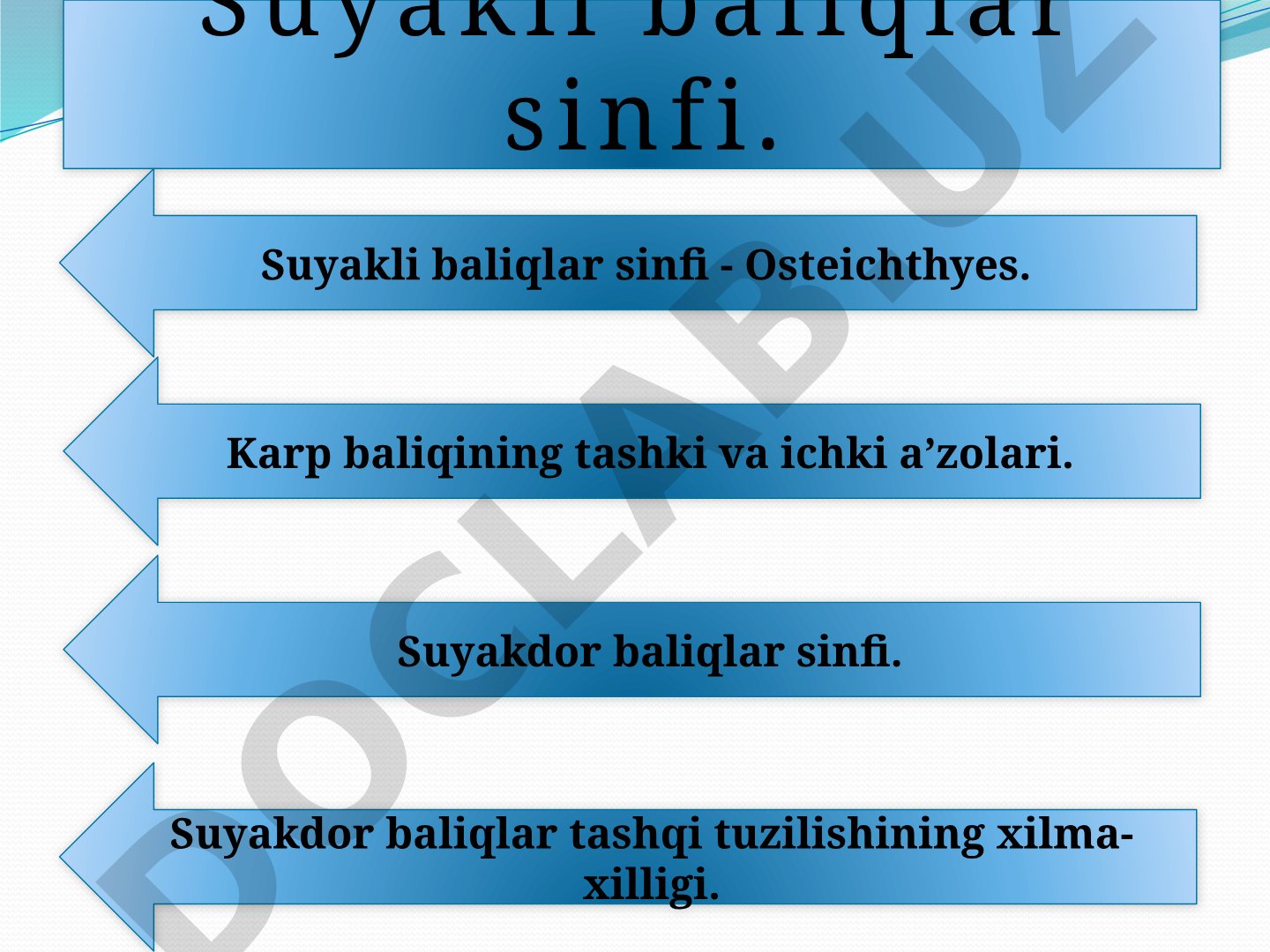 Suyakli baliqlar sinfi - Osteichthyes