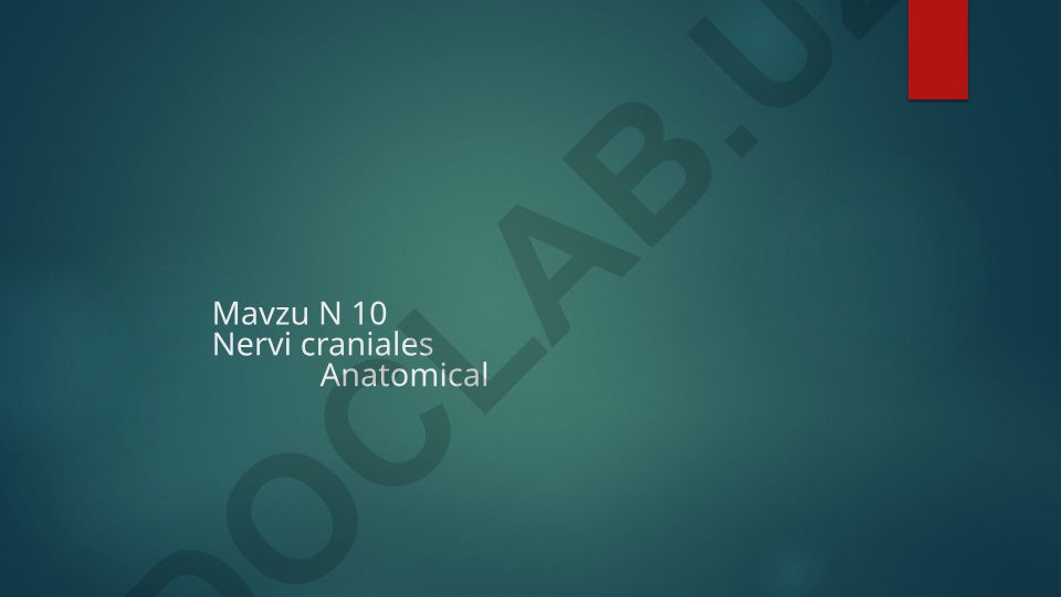Bosh miya nervlari (Nervi craniales) anatomiyasi va tasnifi