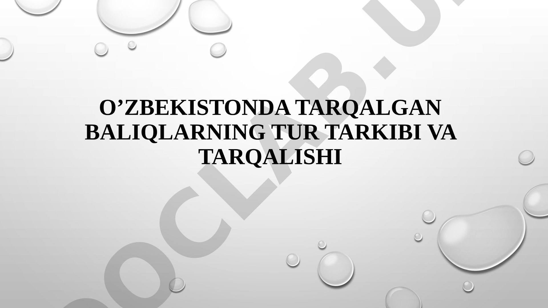 O'zbekistonda tarqalgan baliqlarning tur tarkibi va tarqalishi