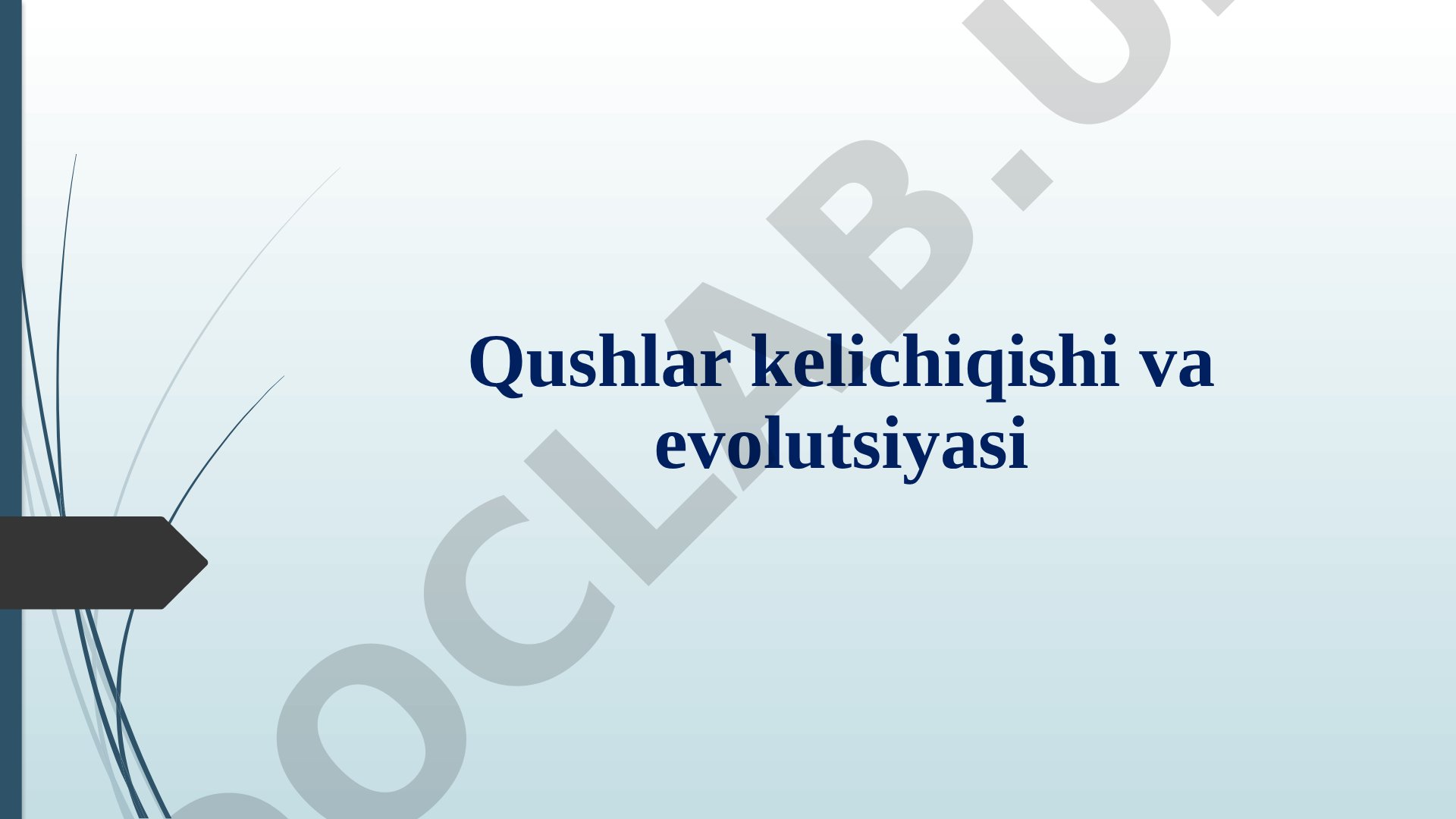 Qushlar kelichiqishi va evolutsiyasi