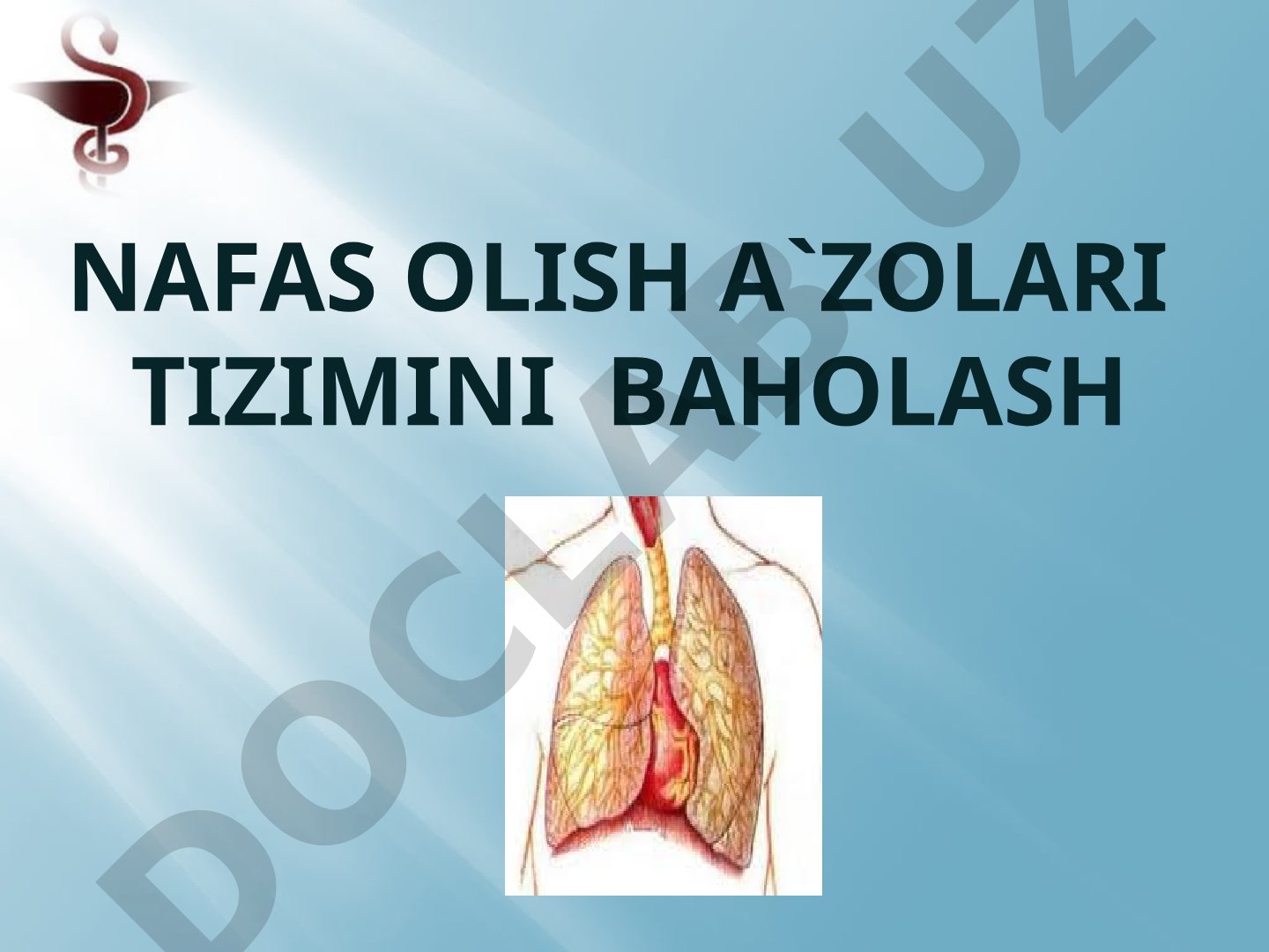 Nafas olish a'zolari tizimini baholash