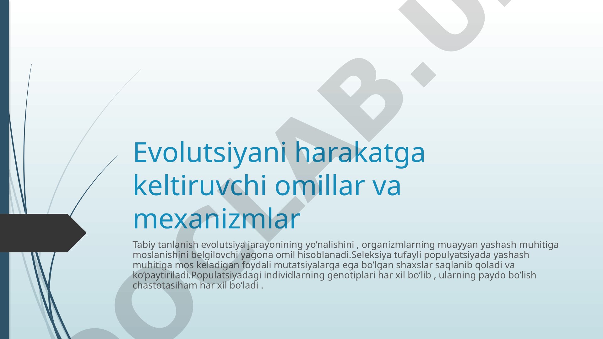 Evolutsiyani harakatga keltiruvchi omillar va mexanizmlar