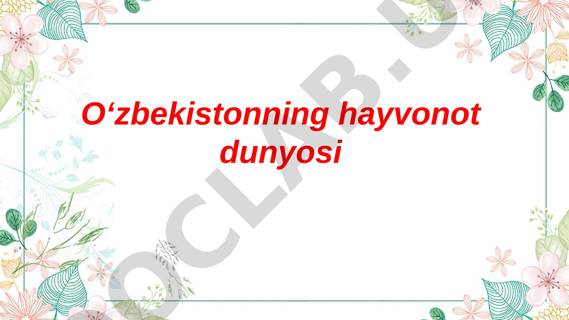 Oʻzbekistonning hayvonot dunyosi