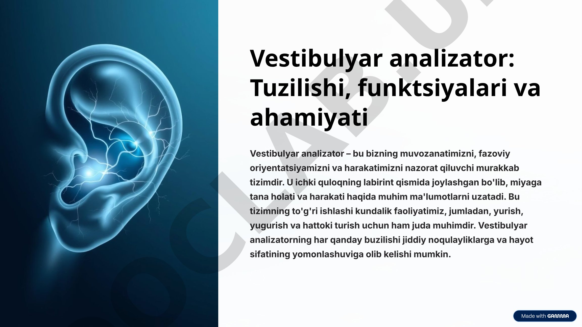 Vestibulyar analizator: Tuzilishi, funktsiyalari va ahamiyati