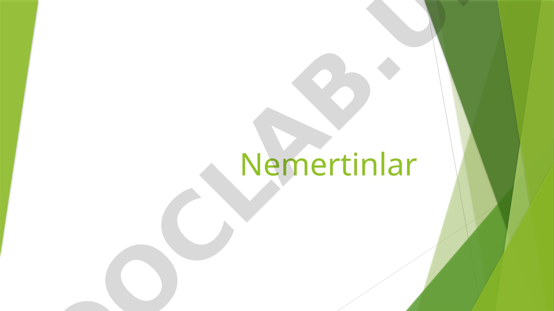 Nemertinlar tipi va ularning ayrish sistemasi
