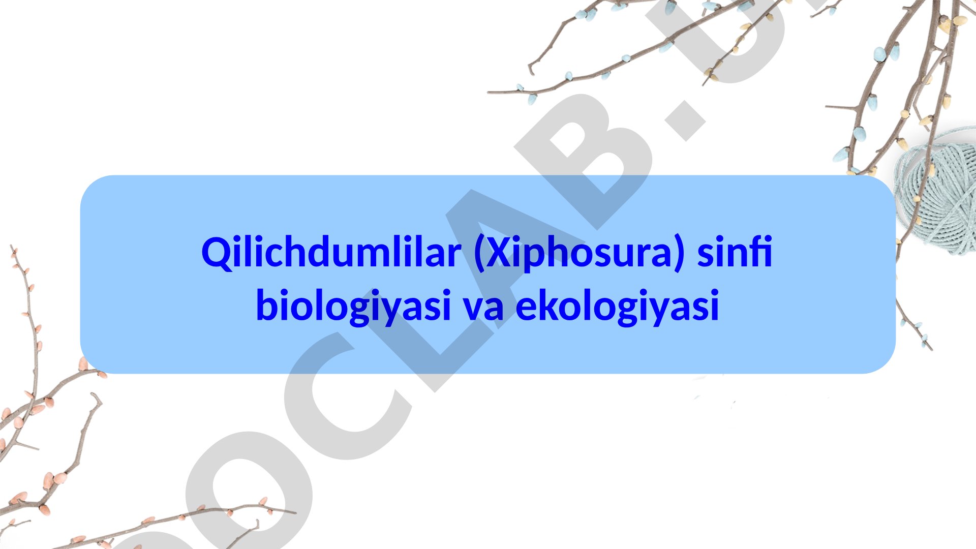 Qilichdumlilar (Xiphosura) sinfi biologiyasi va ekologiyasi
