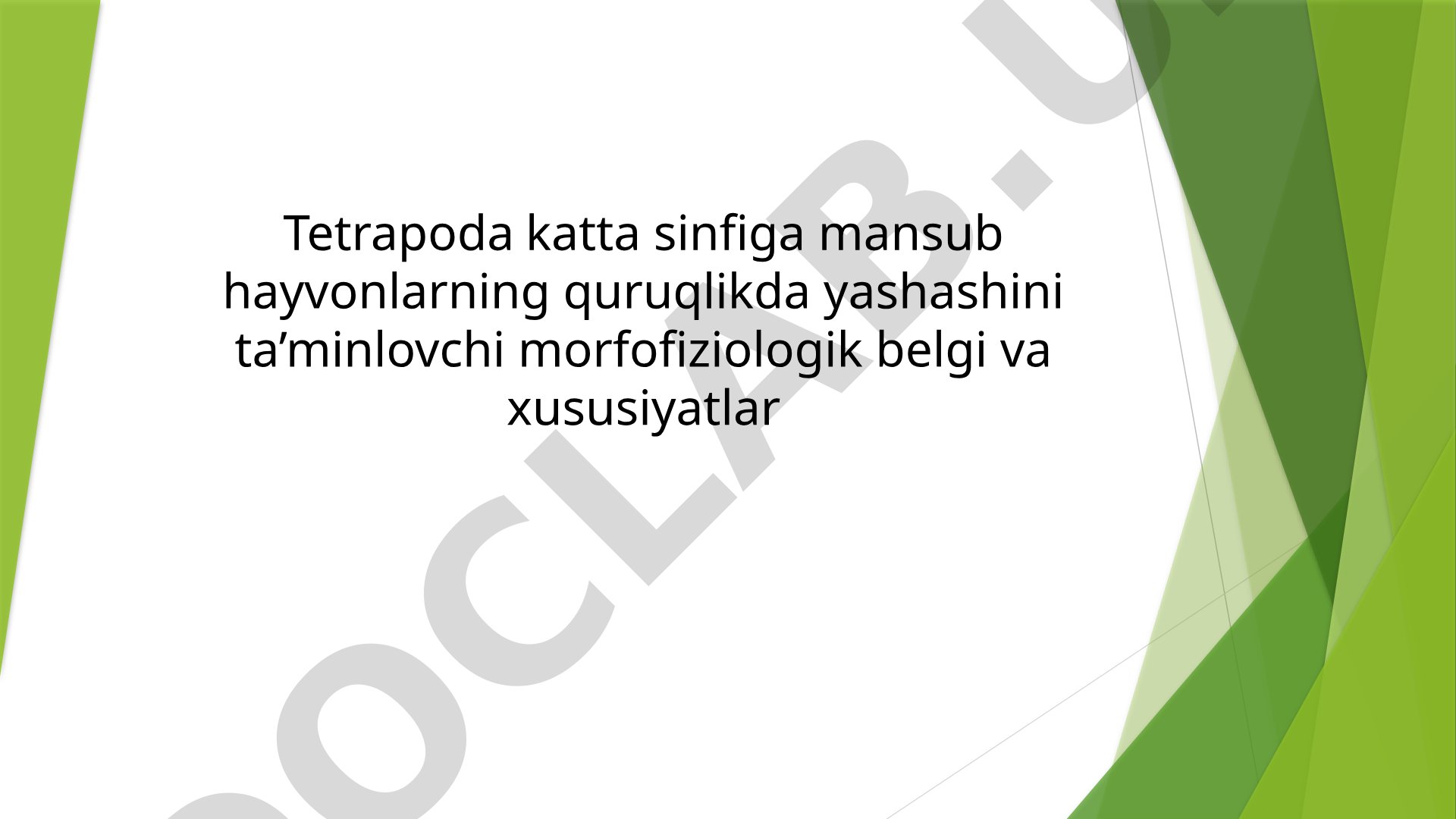 Tetrapoda katta sinfiga mansub hayvonlarning quruqlikda yashashini ta’minlovchi morfofiziologik belgi va xususiyatlar