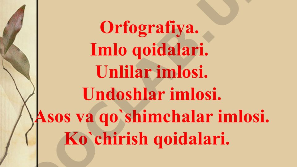 O'zbek tilining imlo qoidalari va orfografiya