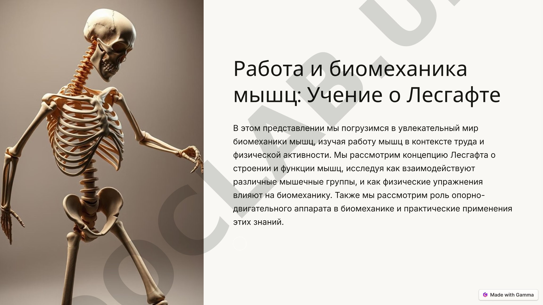Работа и биомеханика мышц: Учение о Лесгафте