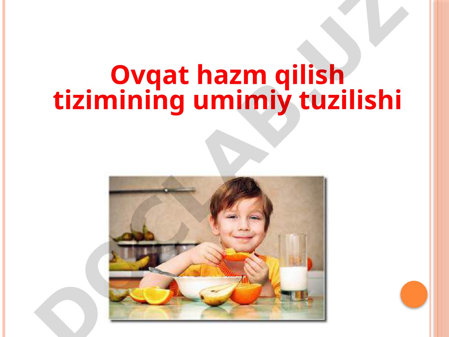 Ovqat hazm qilish tizimining umumiy tuzilishi