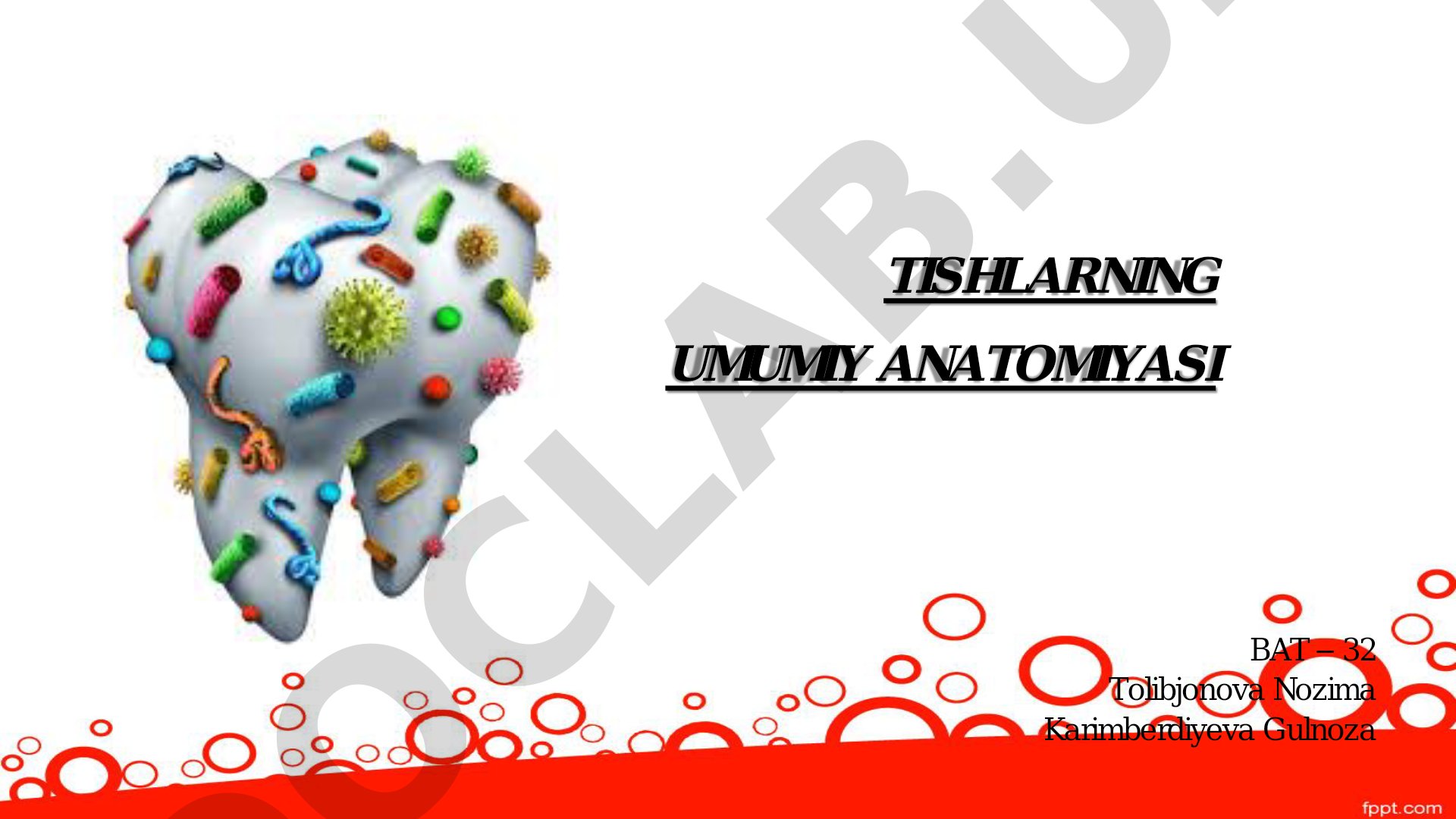 Tishlarning umumiy anatomiyasi