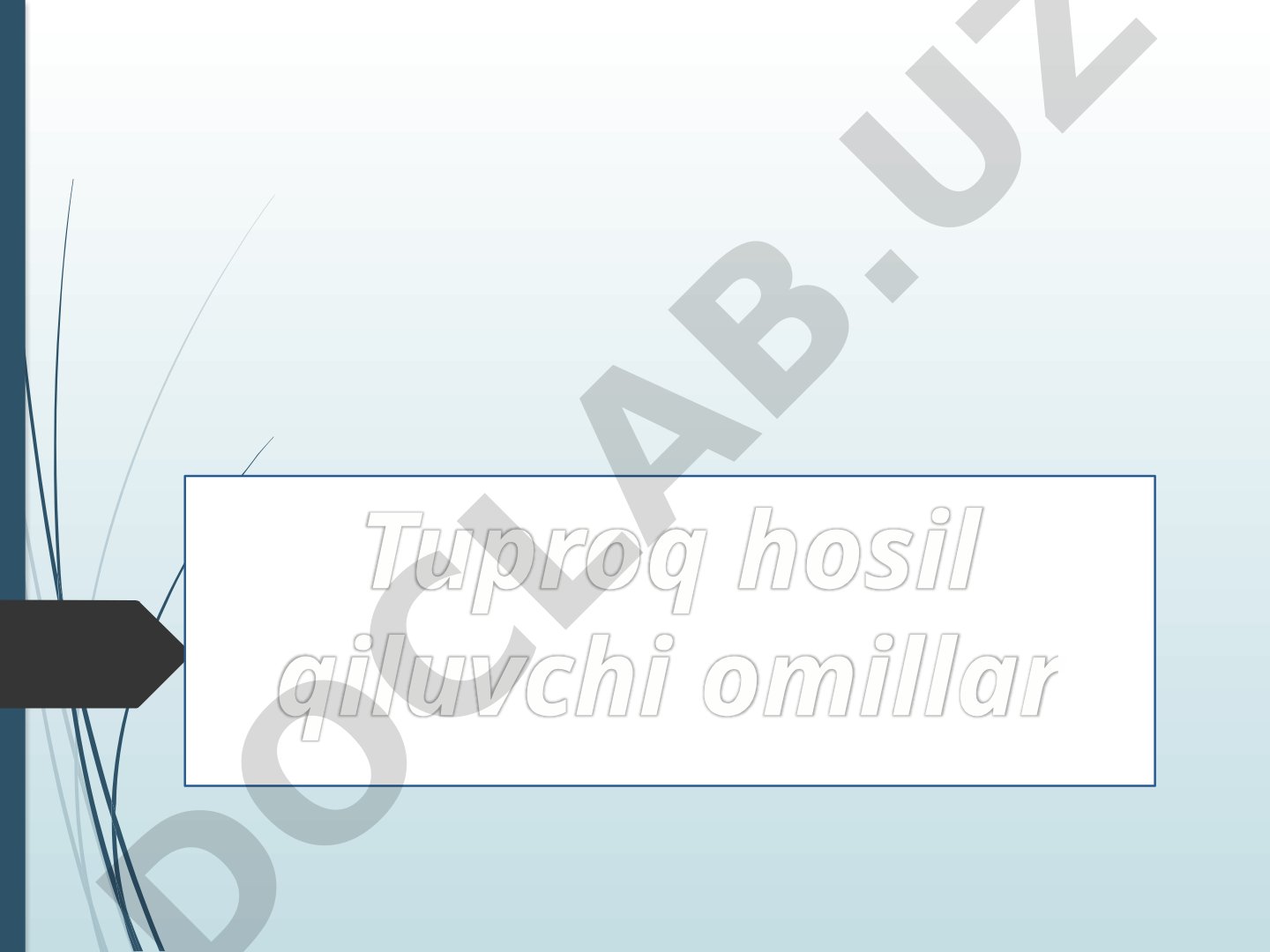 Tuproq hosil qiluvchi omillar