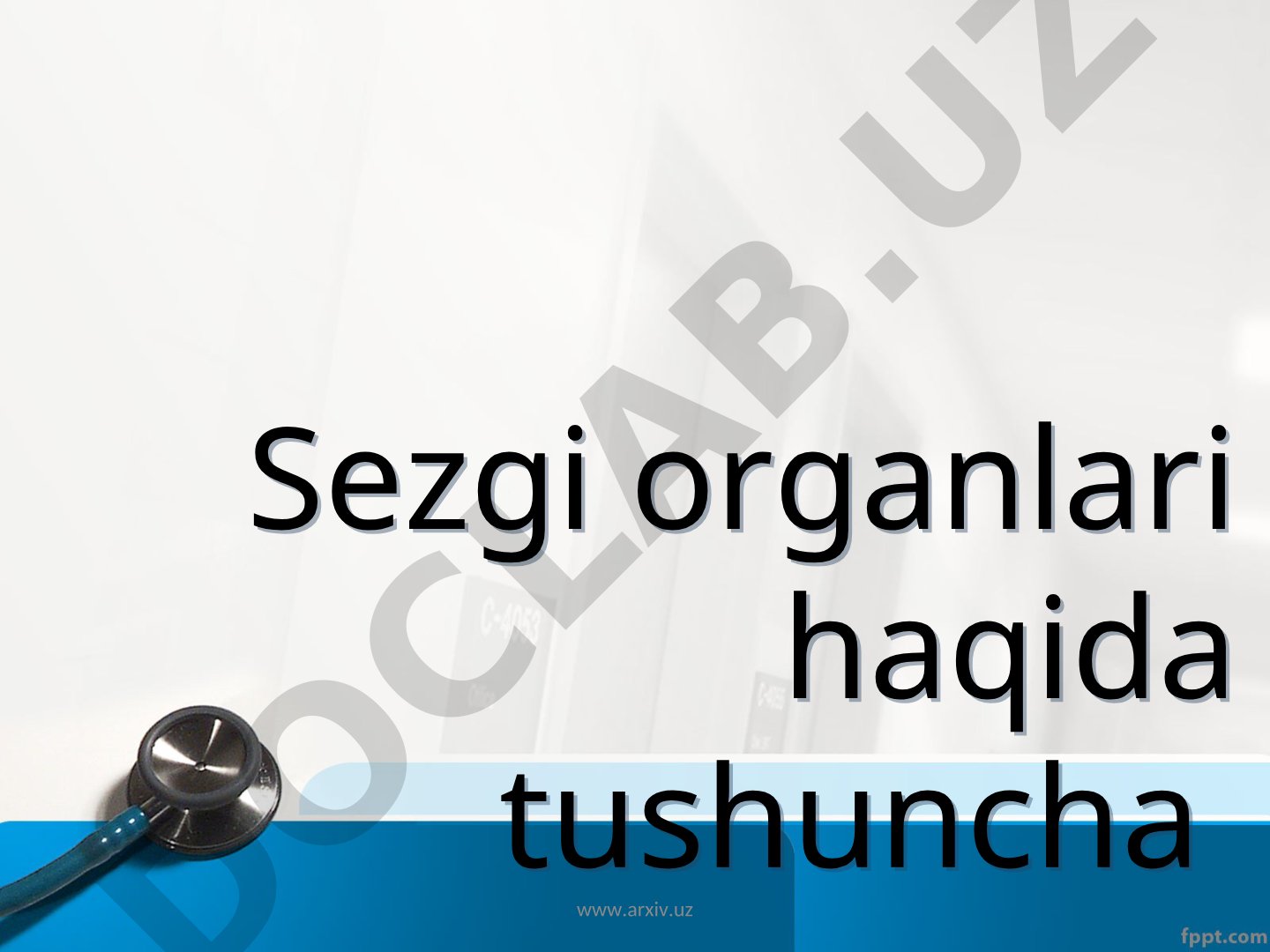 Sezgi organlari haqida tushuncha