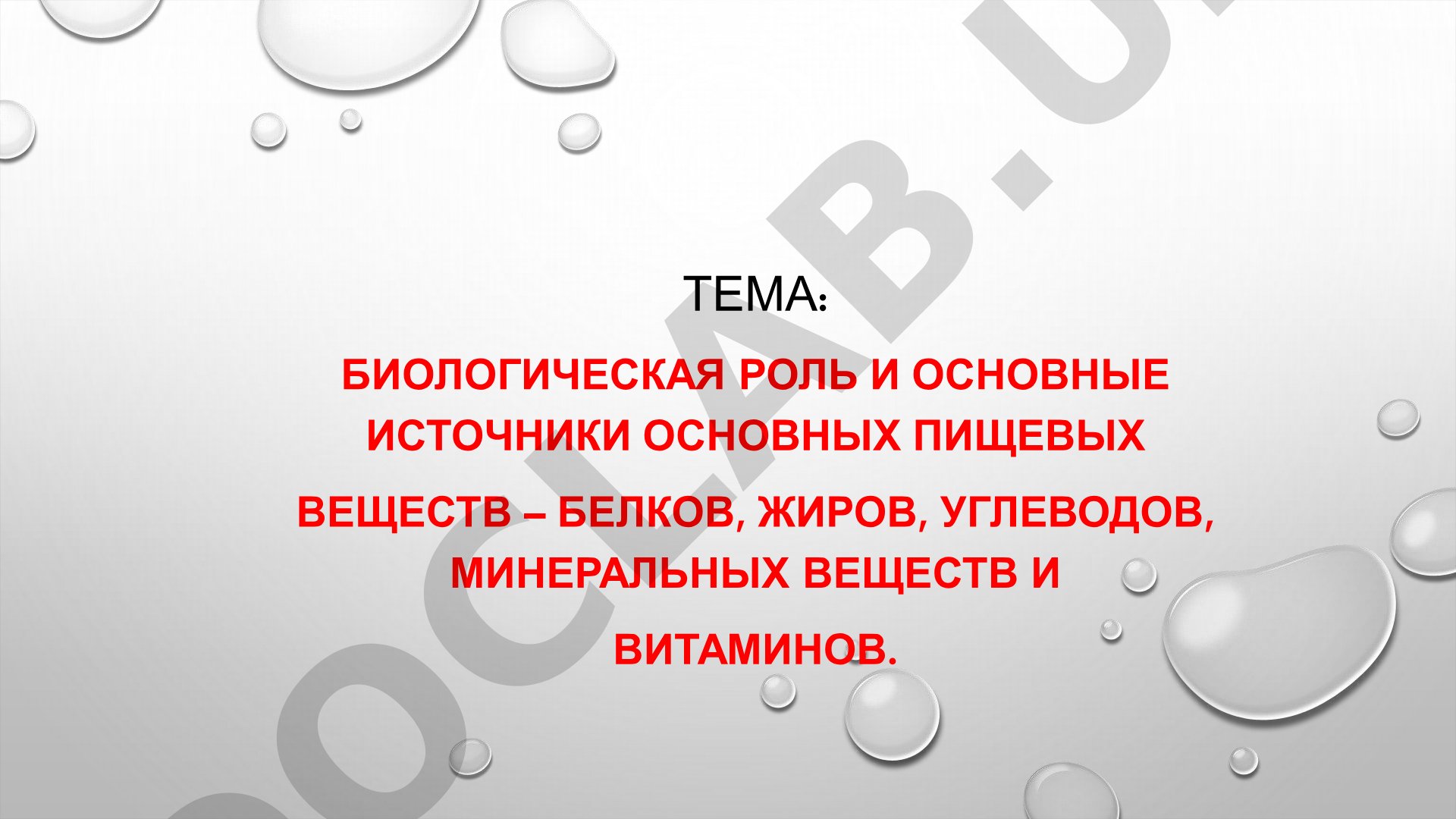 Биологическая роль и основные источники основных пищевых веществ – белков, жиров, углеводов, минеральных веществ и витаминов