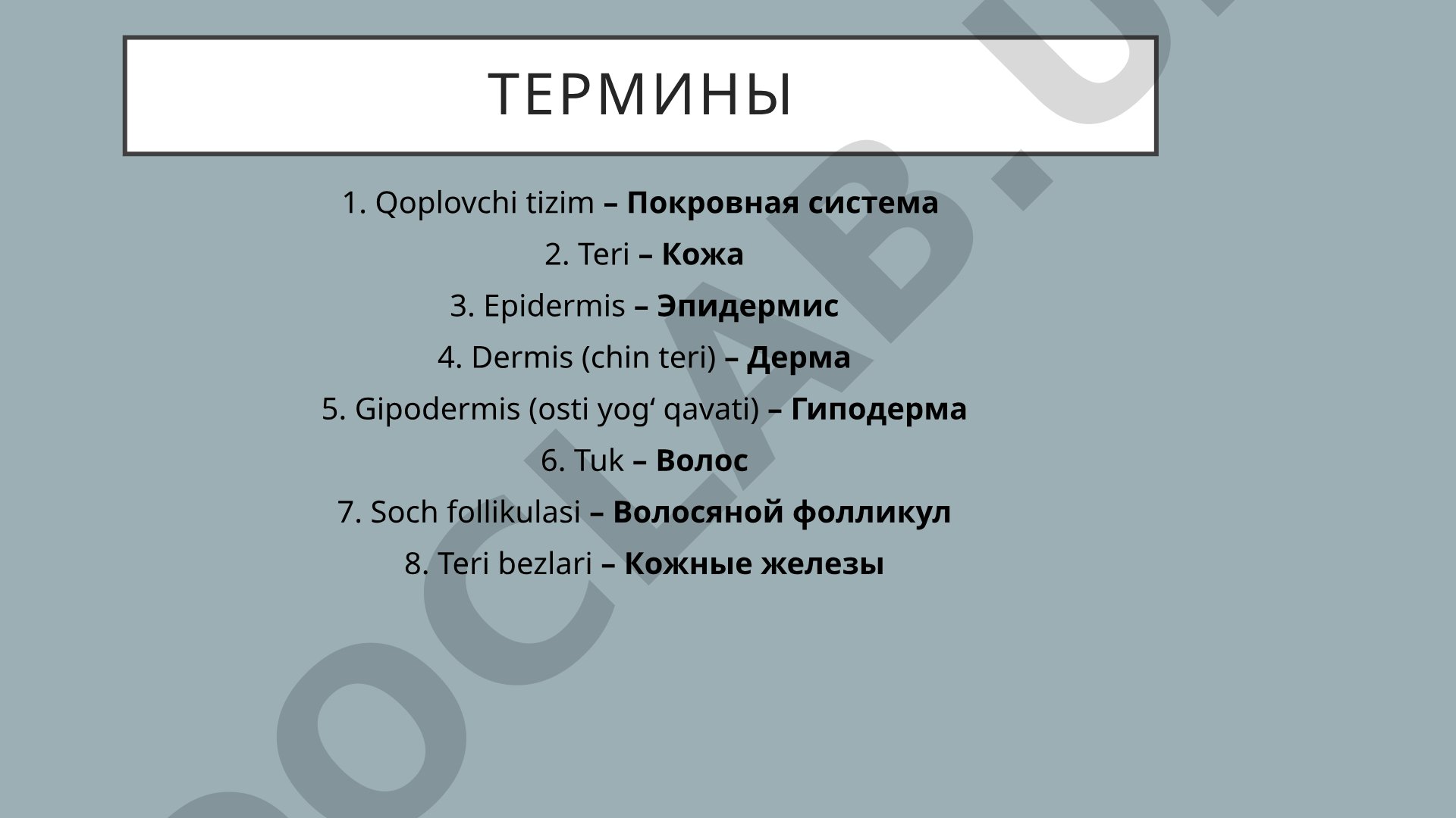 Термины покровной системы (кожа, волосы, ногти, железы)