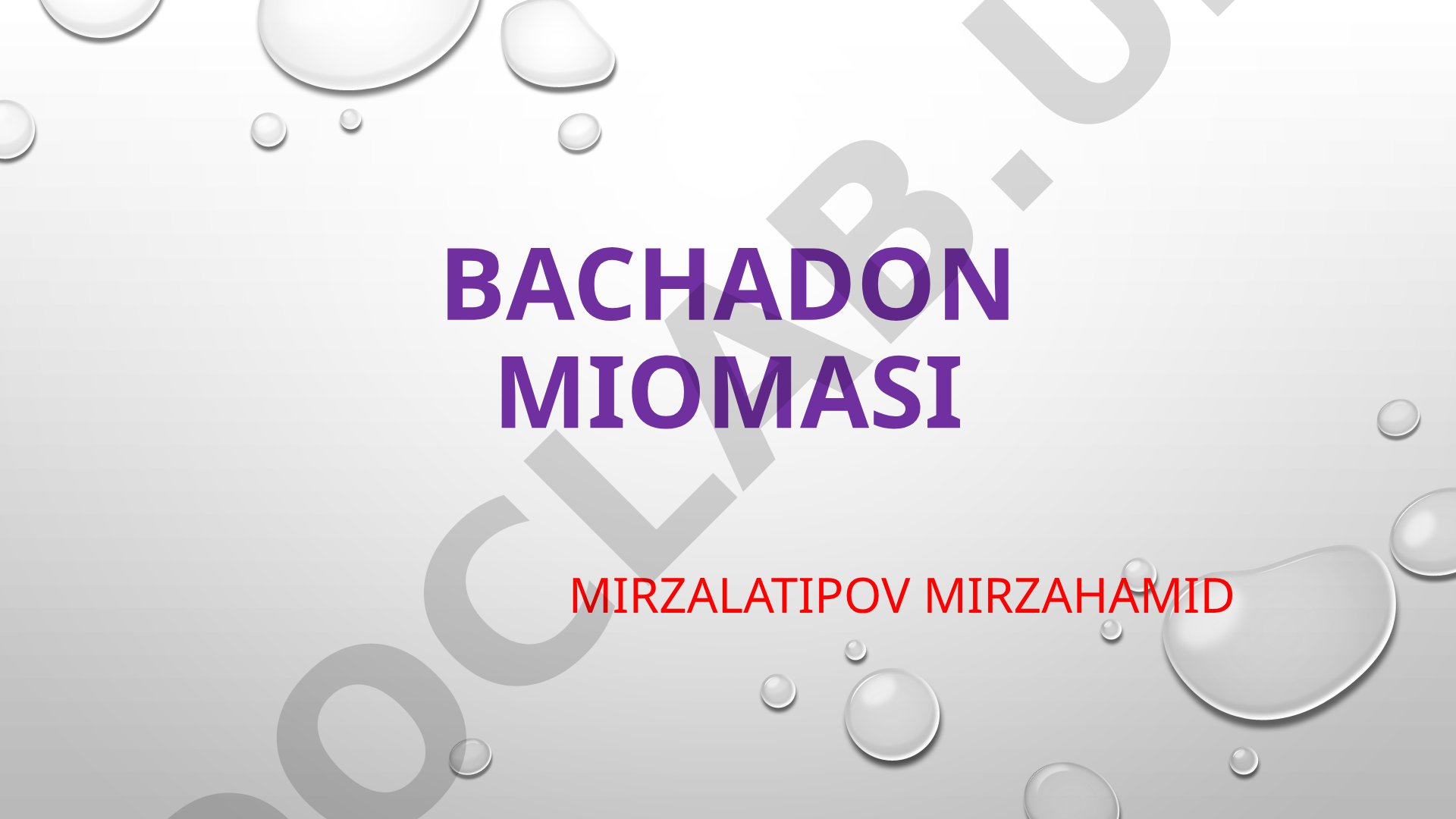 Bachadon miomasi