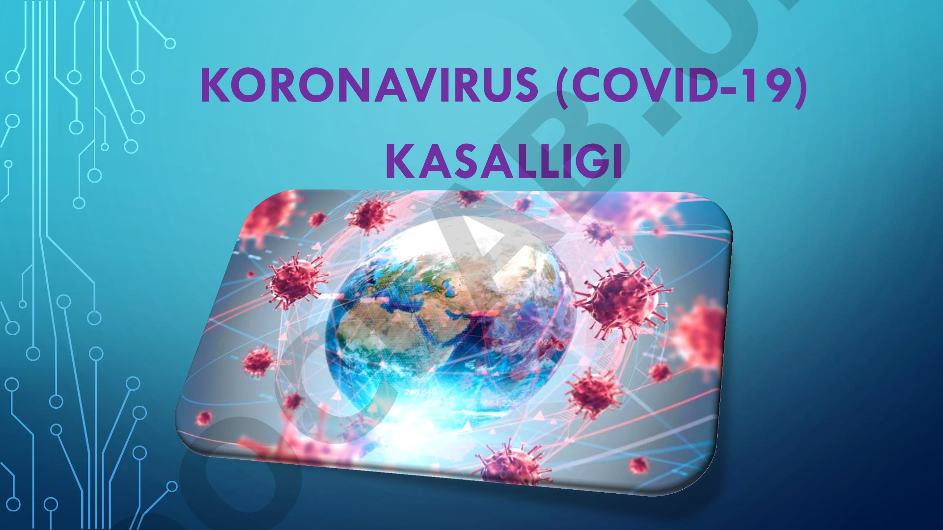 Koronavirus (COVID-19) kasalligi