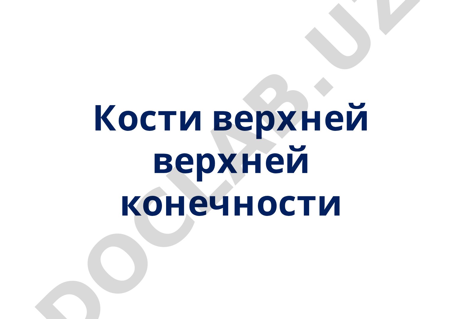 Кости верхней конечности: плечевая, лучевая, локтевая