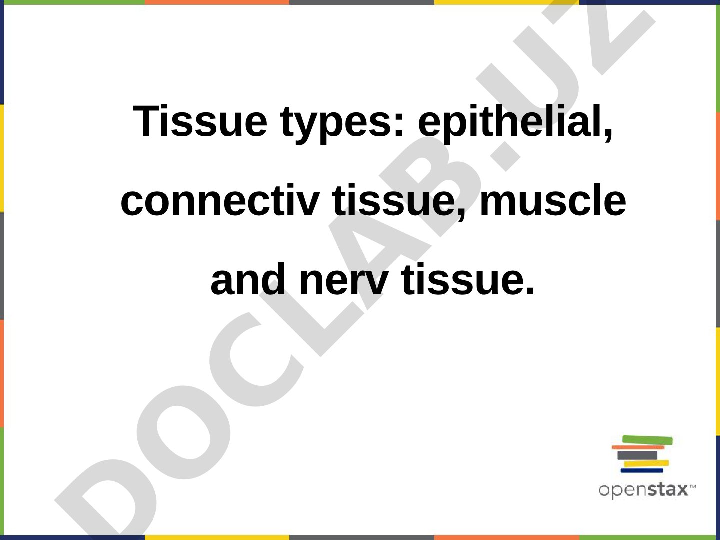Tissue types: epithelial, connective, muscle and nervous tissue