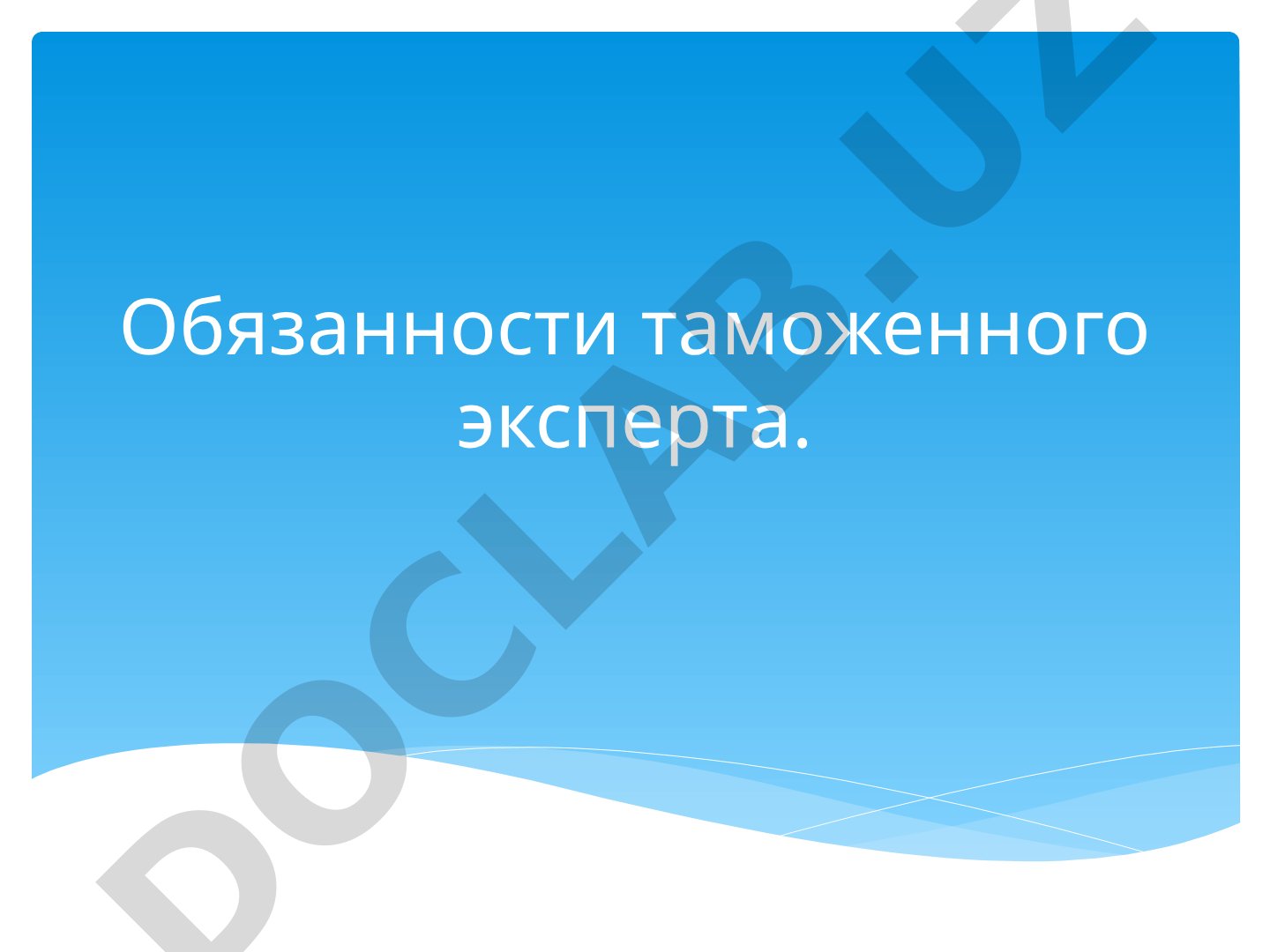 Обязанности таможенного эксперта