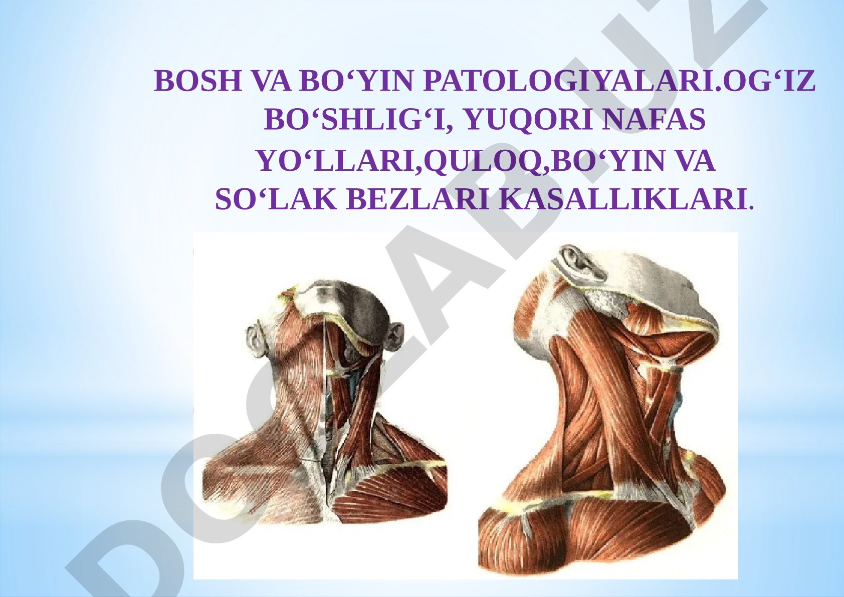Bosh va bo'yin patologiyalari: og'iz bo'shlig'i, yuqori nafas yo'llari, quloq, bo'yin va so'lak bezlari kasalliklari