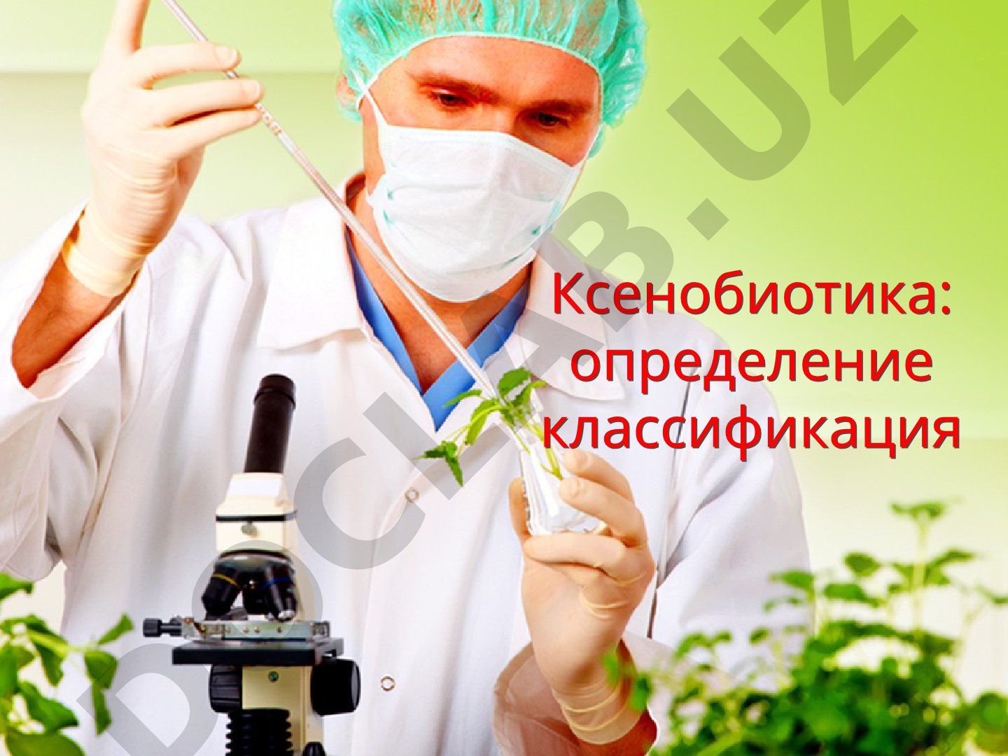 Ксенобиотика: определение и классификация