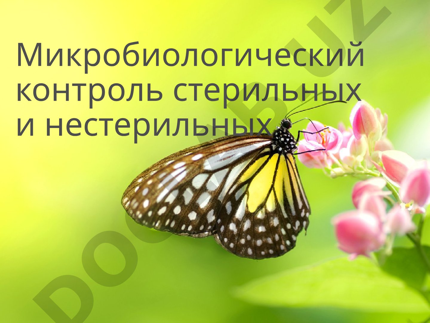 Микробиологический контроль стерильных и нестерильных лекарственных форм