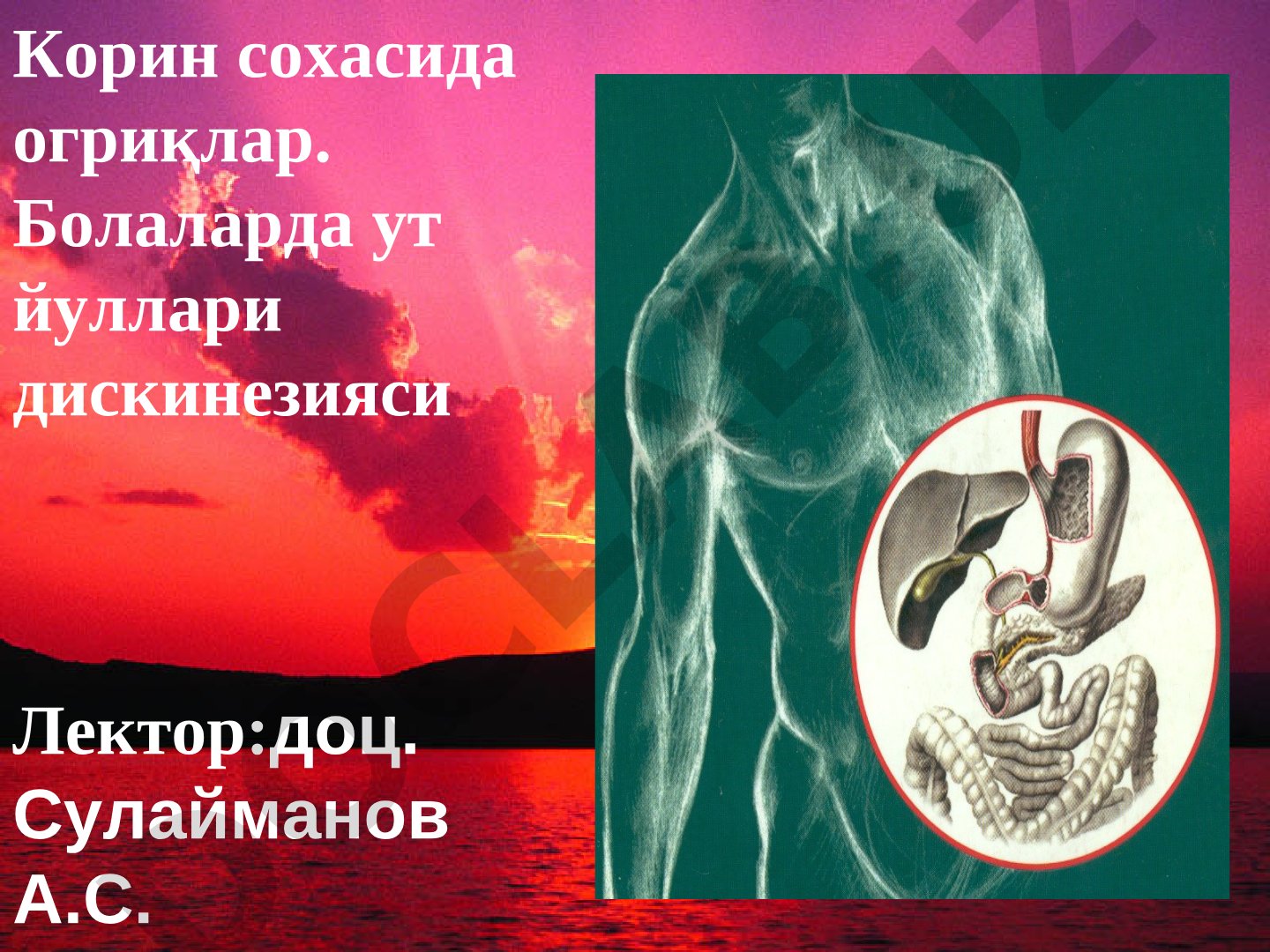 Корин сохасида огриқлар. Болаларда ут йуллари дискинезияси