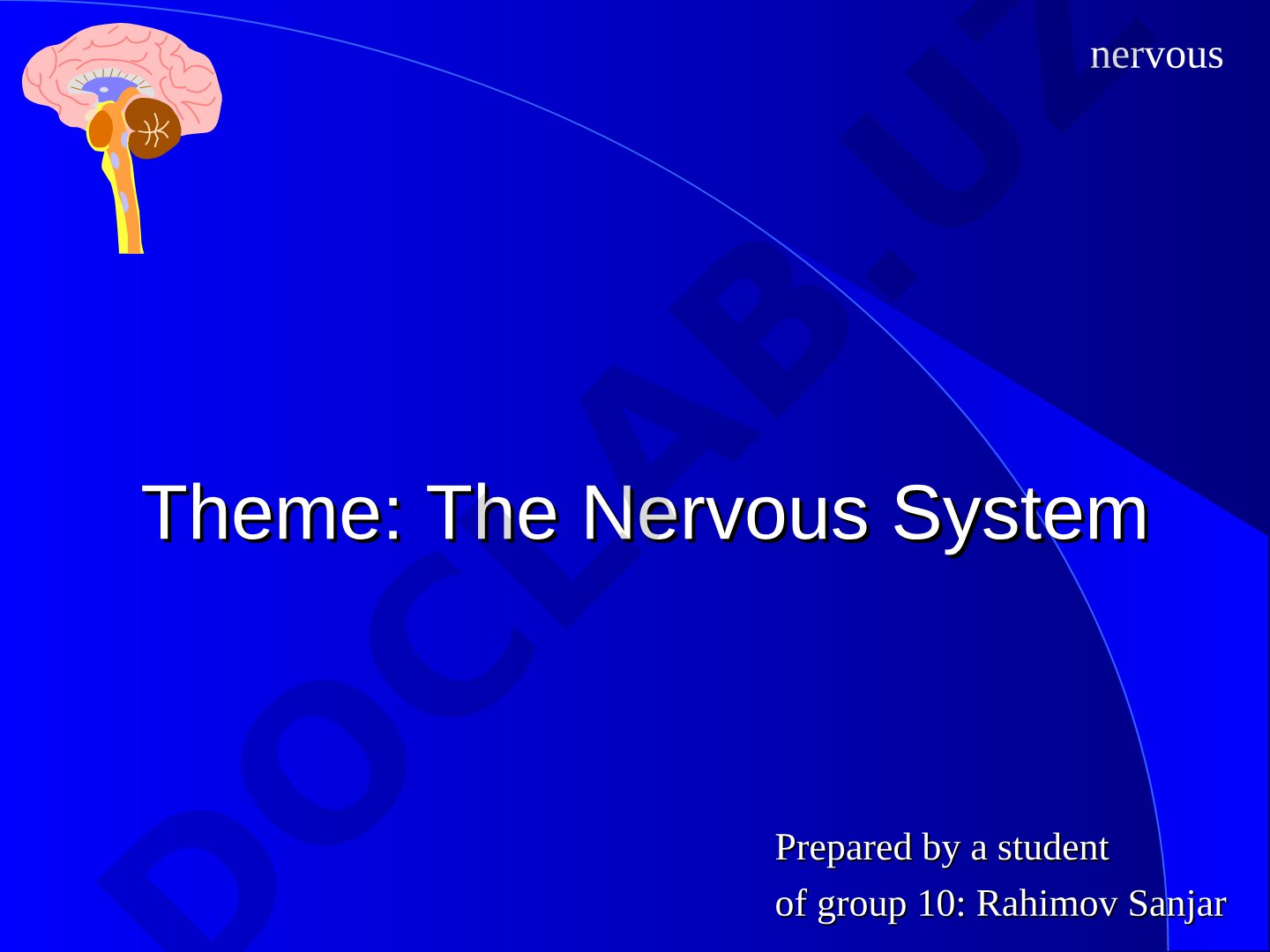 The Nervous System