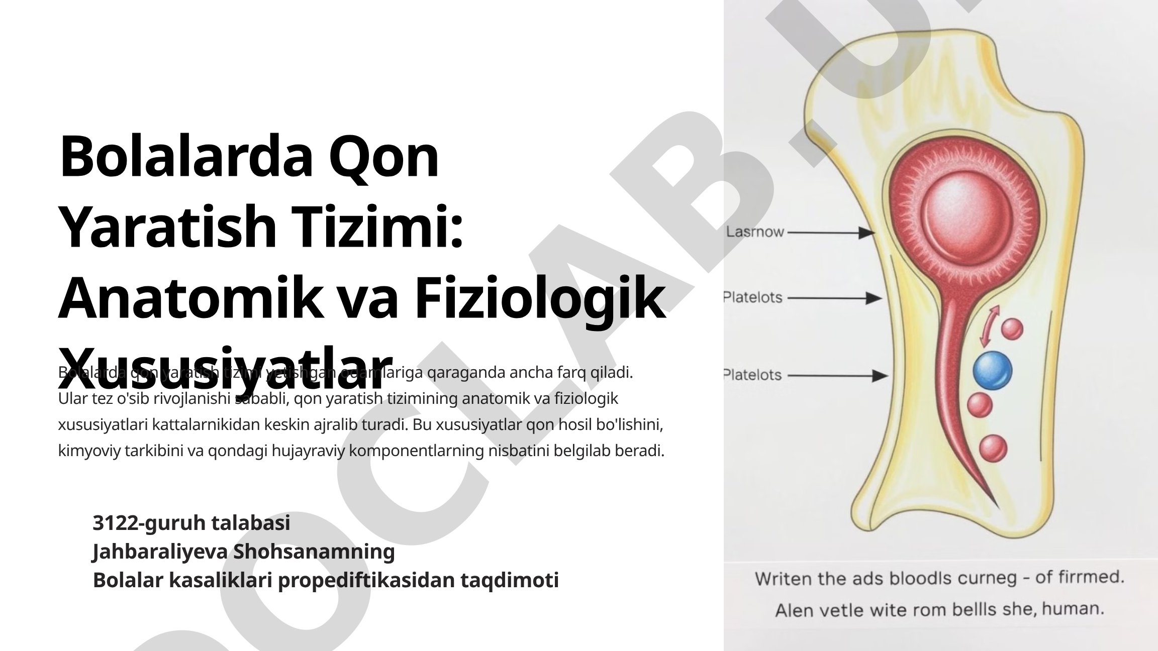 Bolalarda Qon Yaratish Tizimi: Anatomik va Fiziologik Xususiyatlar