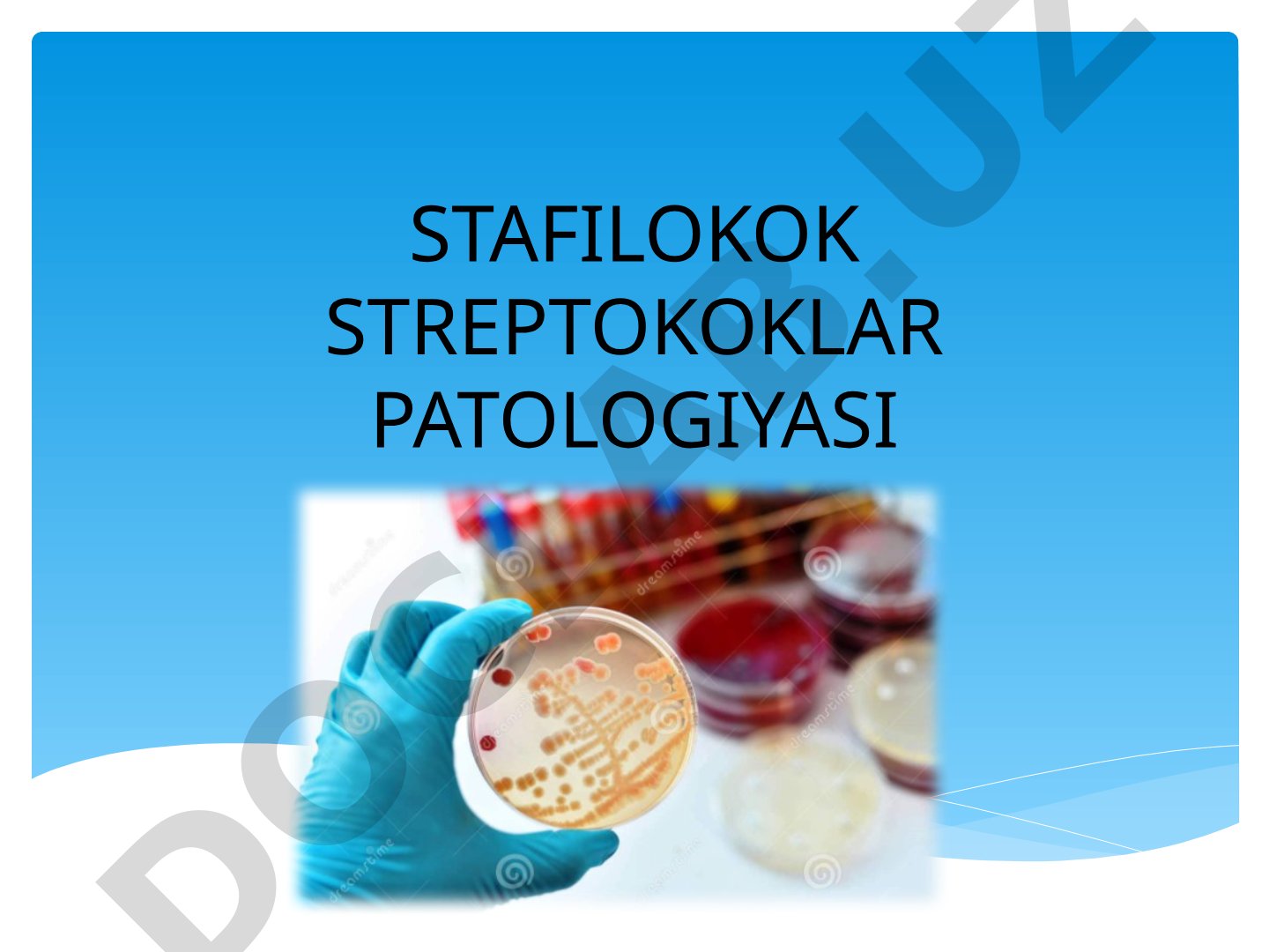 Stafilokok va streptokokklar patologiyasi