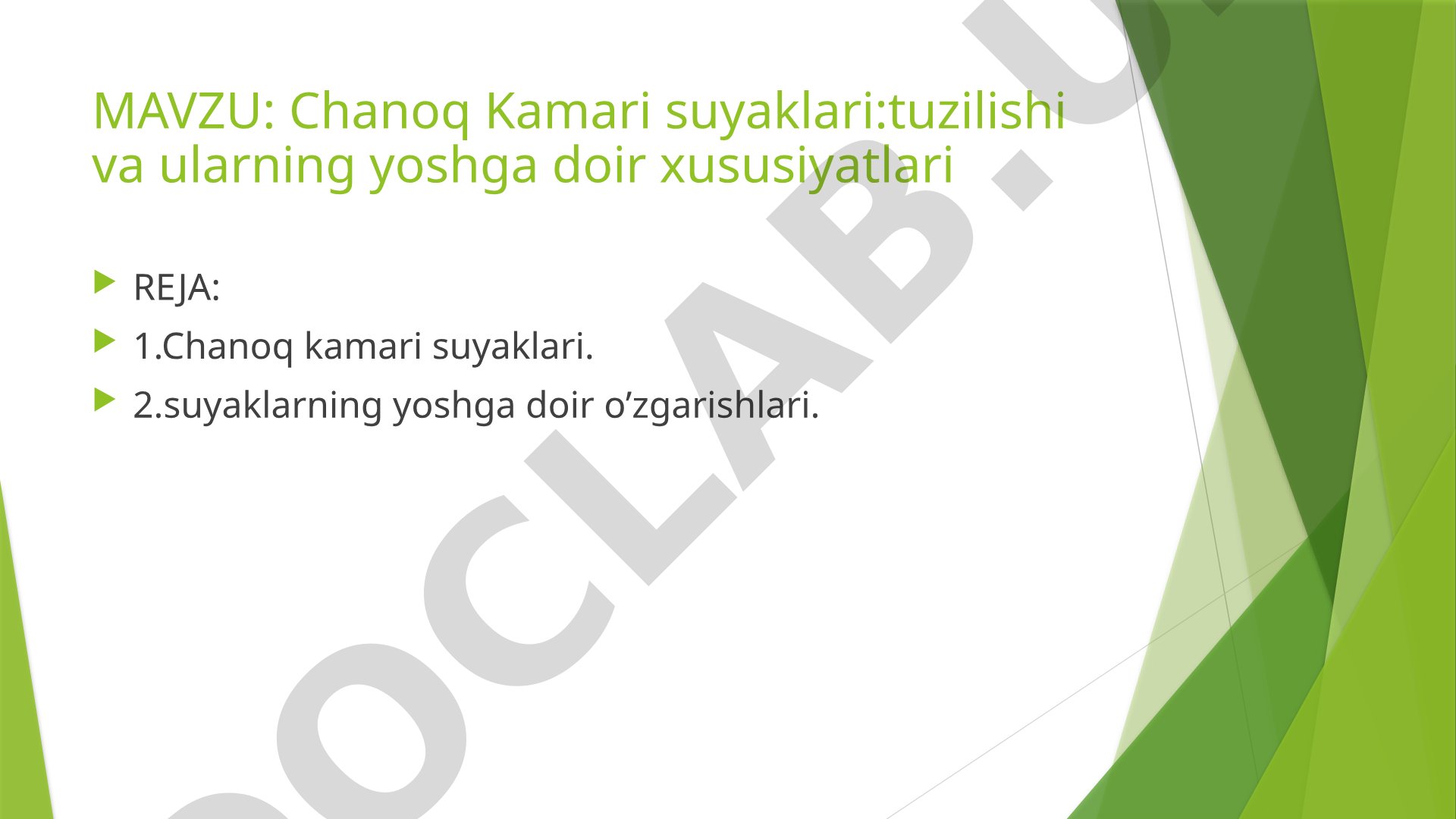 Chanoq Kamari suyaklari: tuzilishi va ularning yoshga doir xususiyatlari