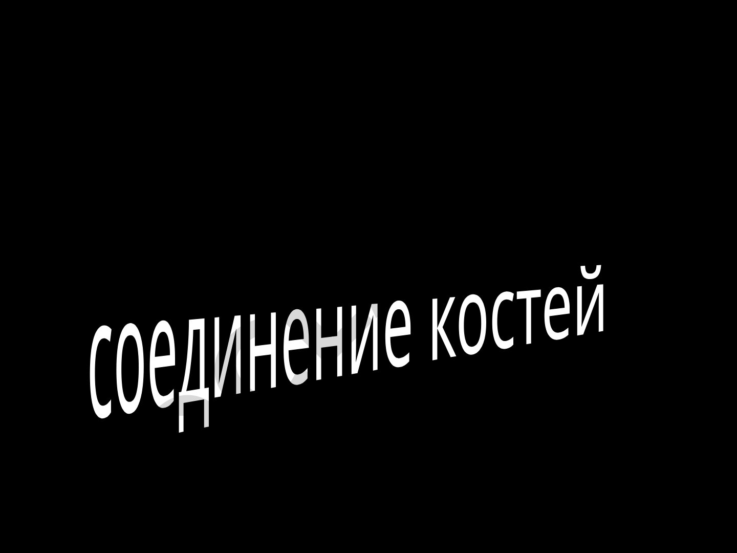 Соединение костей: виды и строение
