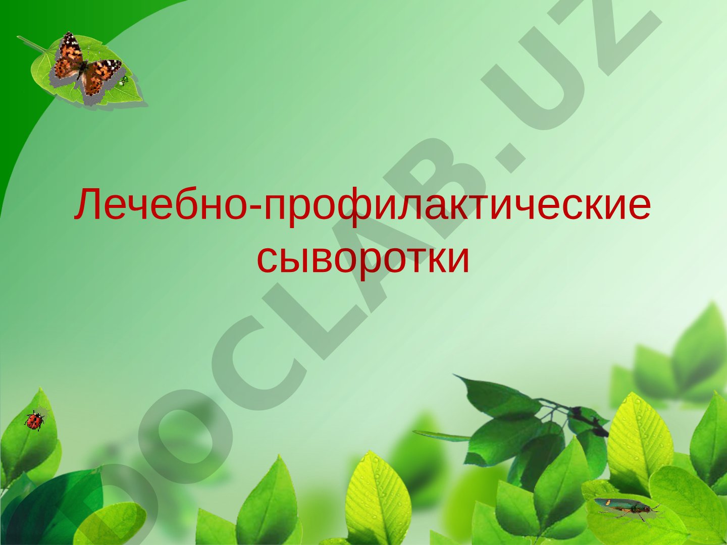 Лечебно-профилактические сыворотки и иммуноглобулины